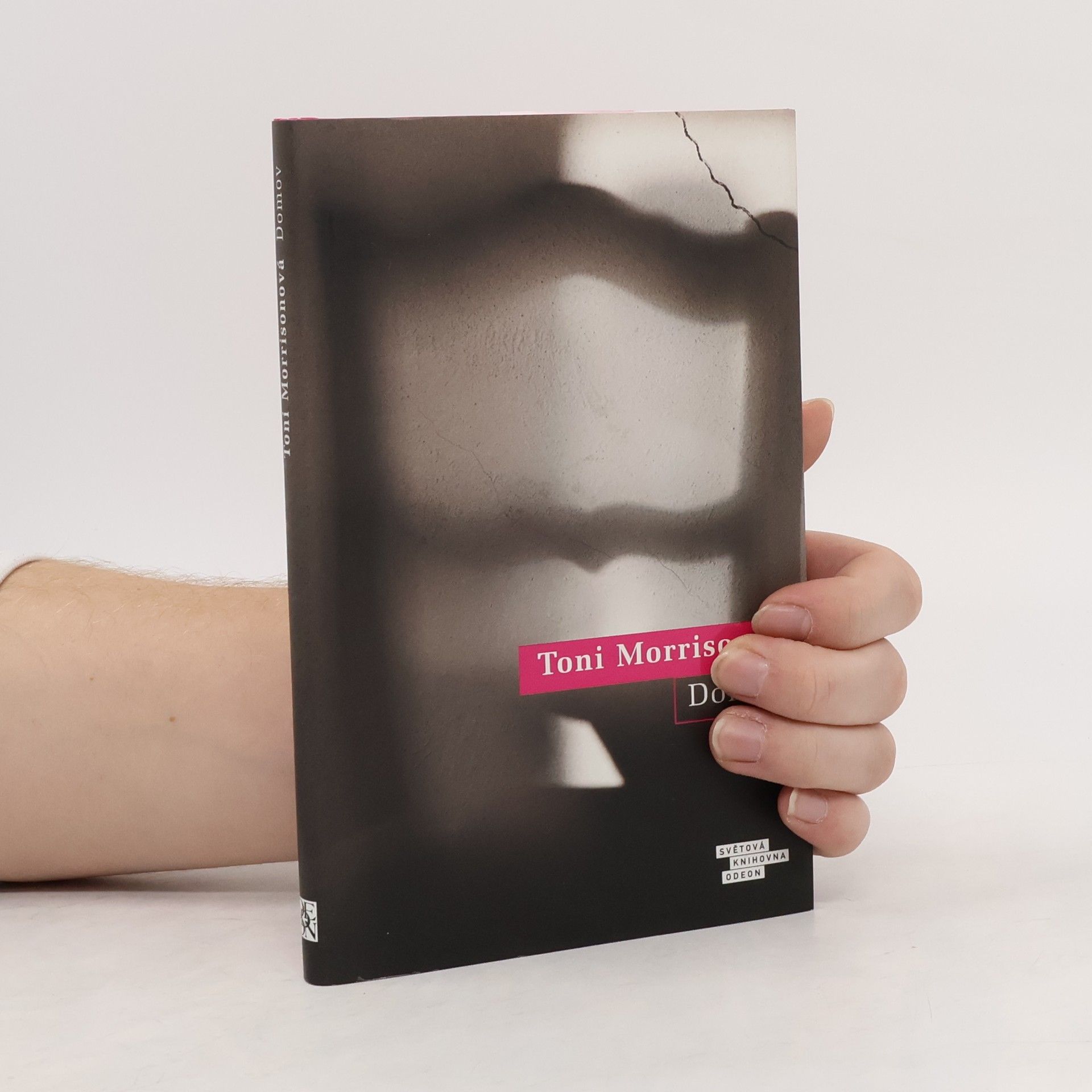 Toni Morrisonová Domov