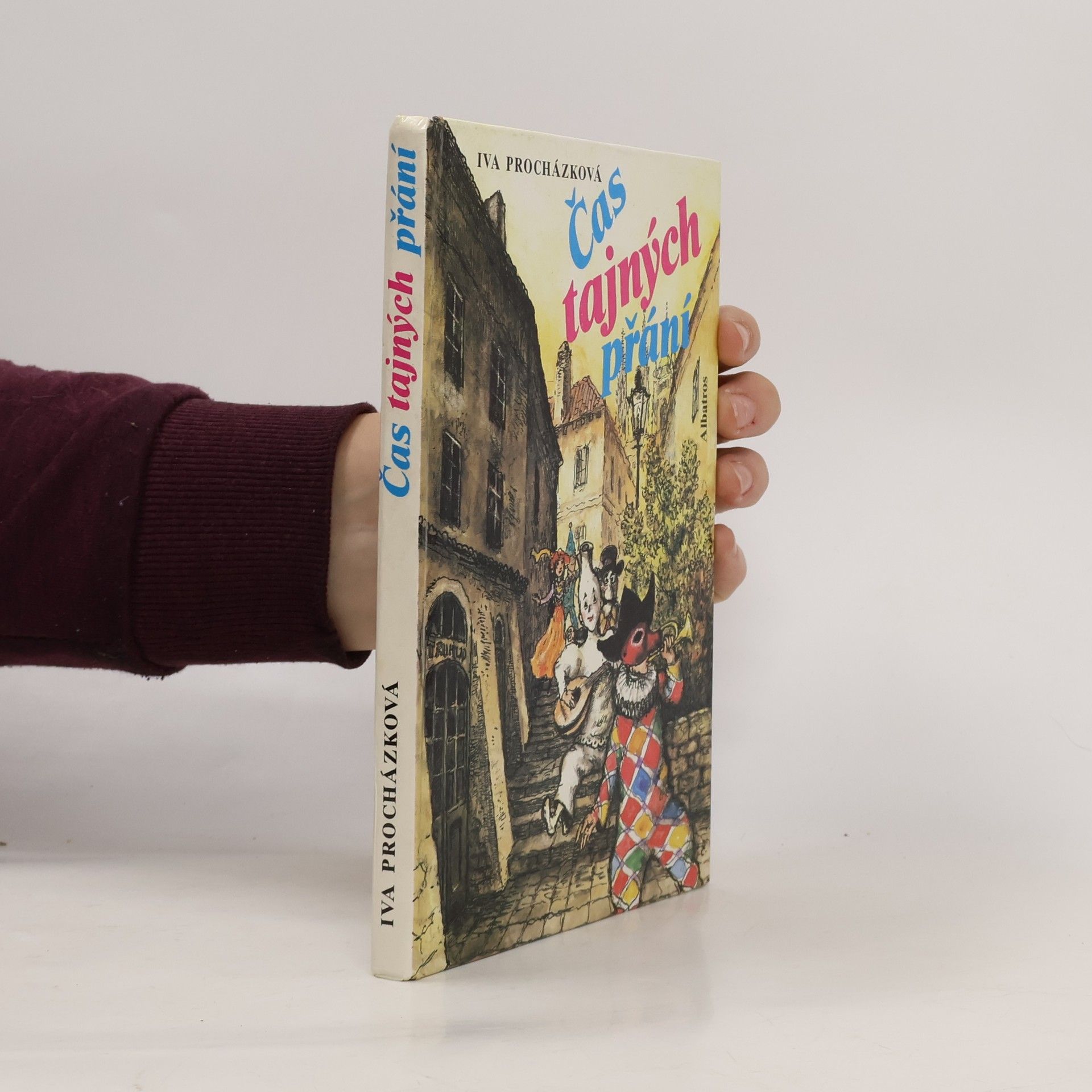 Iva Procházková Čas tajných přání