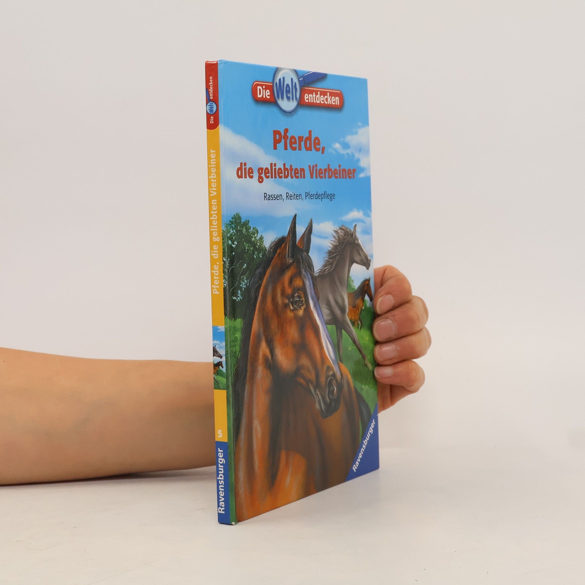 Pferde, die geliebten Vierbeiner