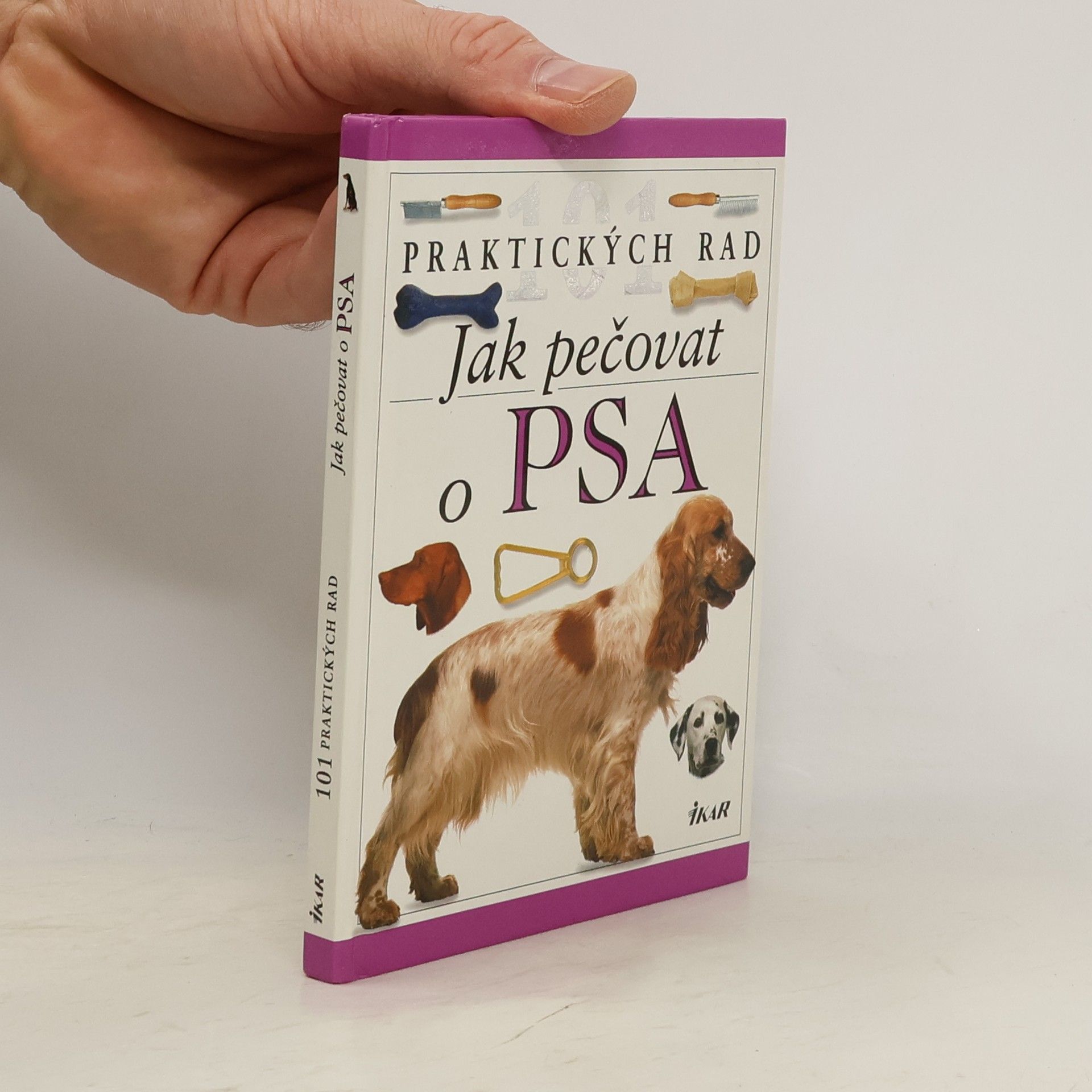 Bruce Folge Jak pečovat o psa