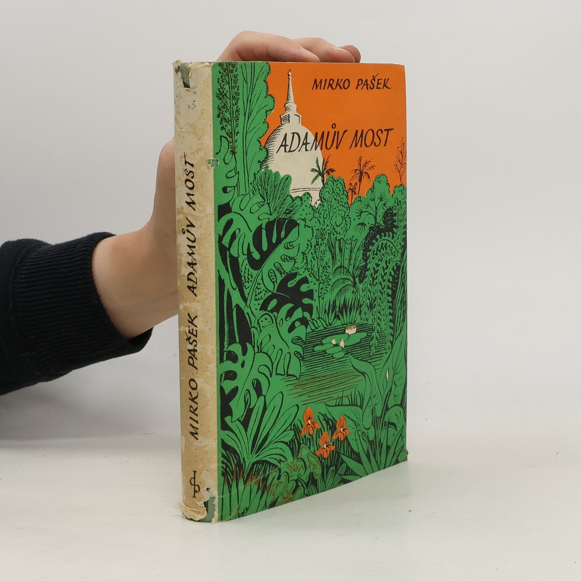 Mirko Pašek Adamův most