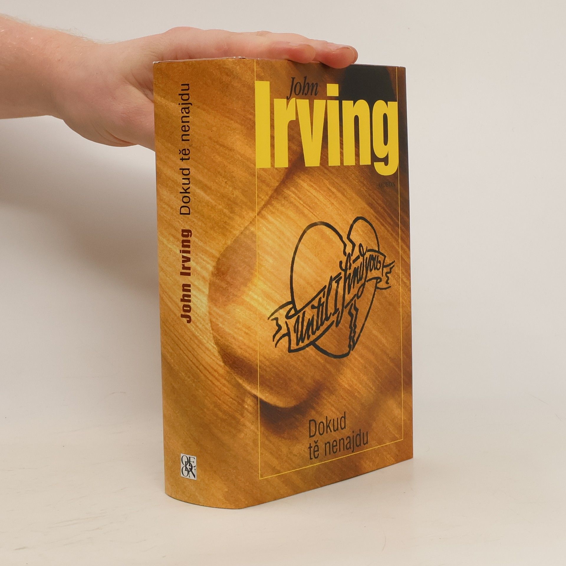 John Irving Dokud tě nenajdu