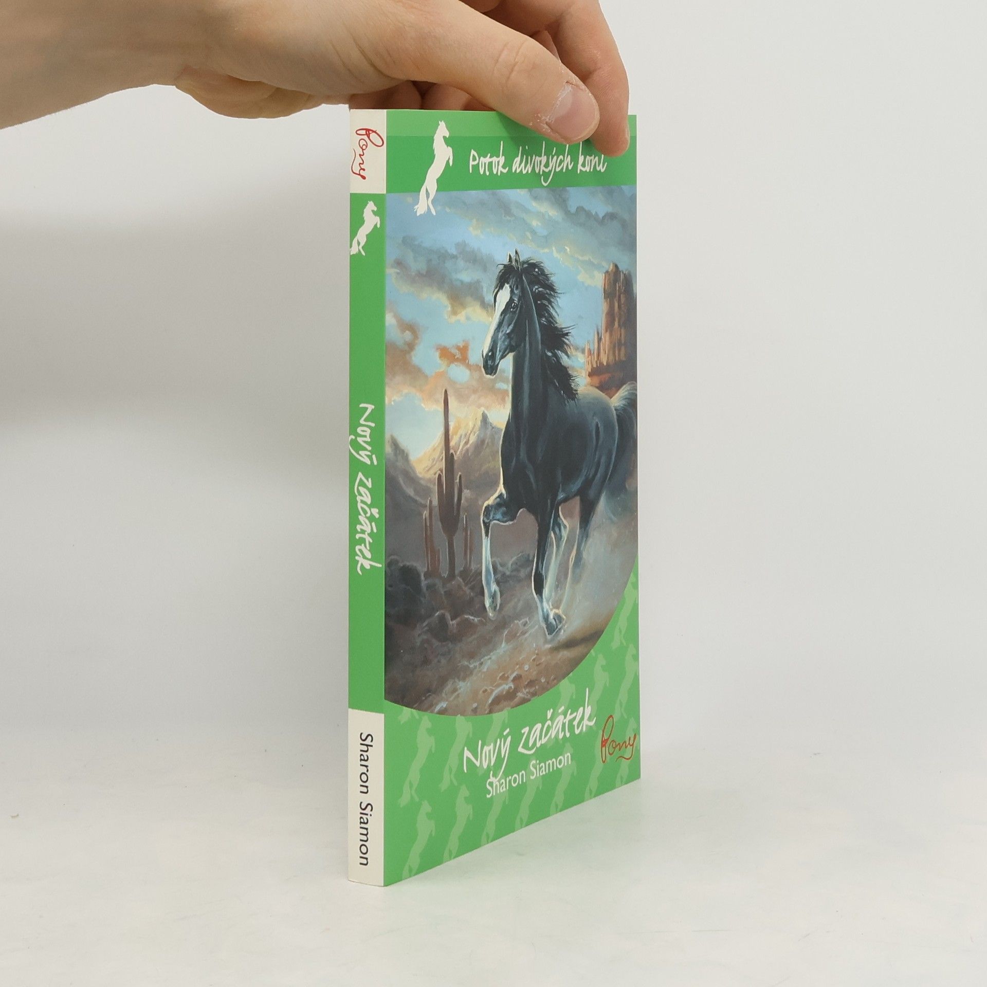 Potok divokých koní. 6. díl. Nový začátek.