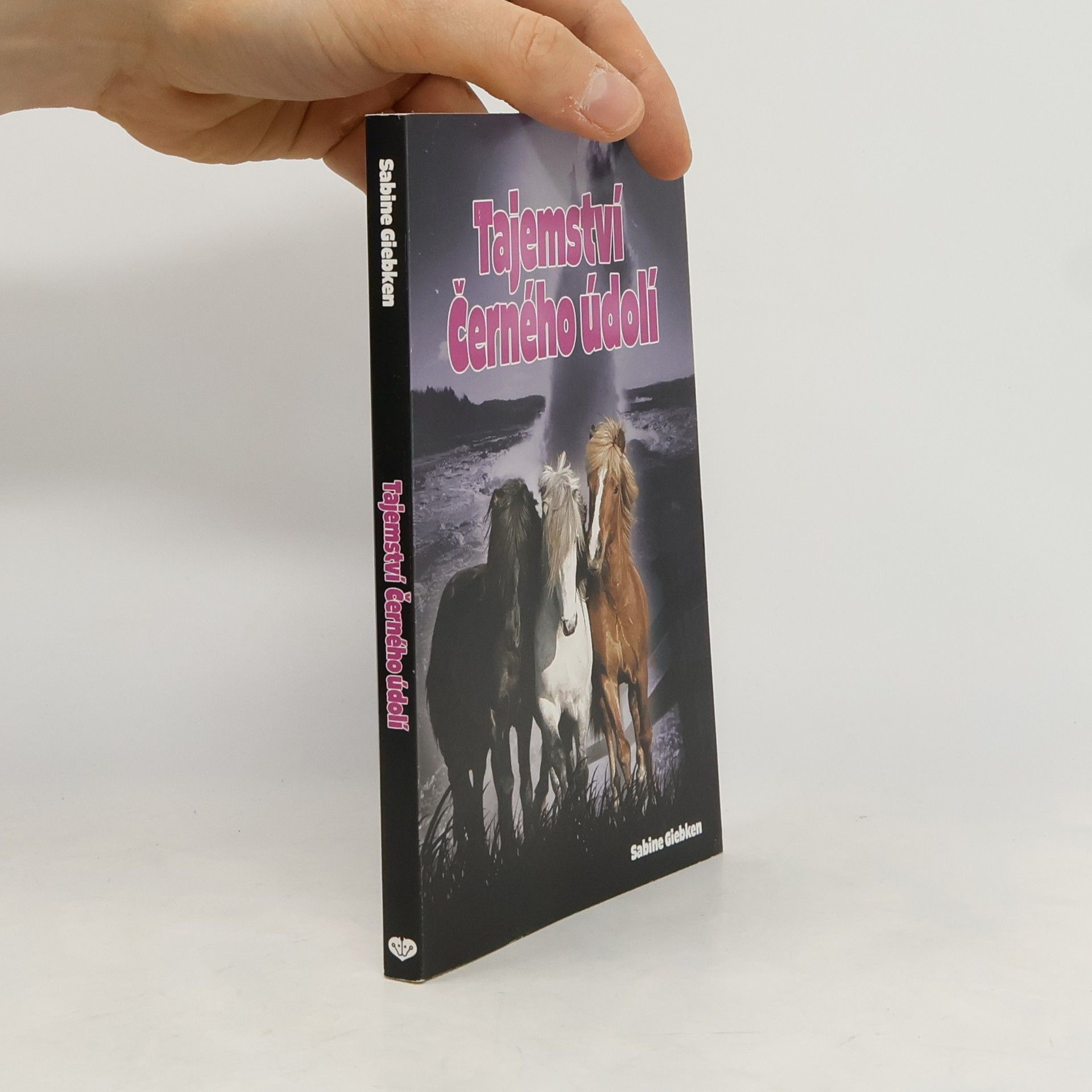 Sabine Giebken Tajemství Černého údolí