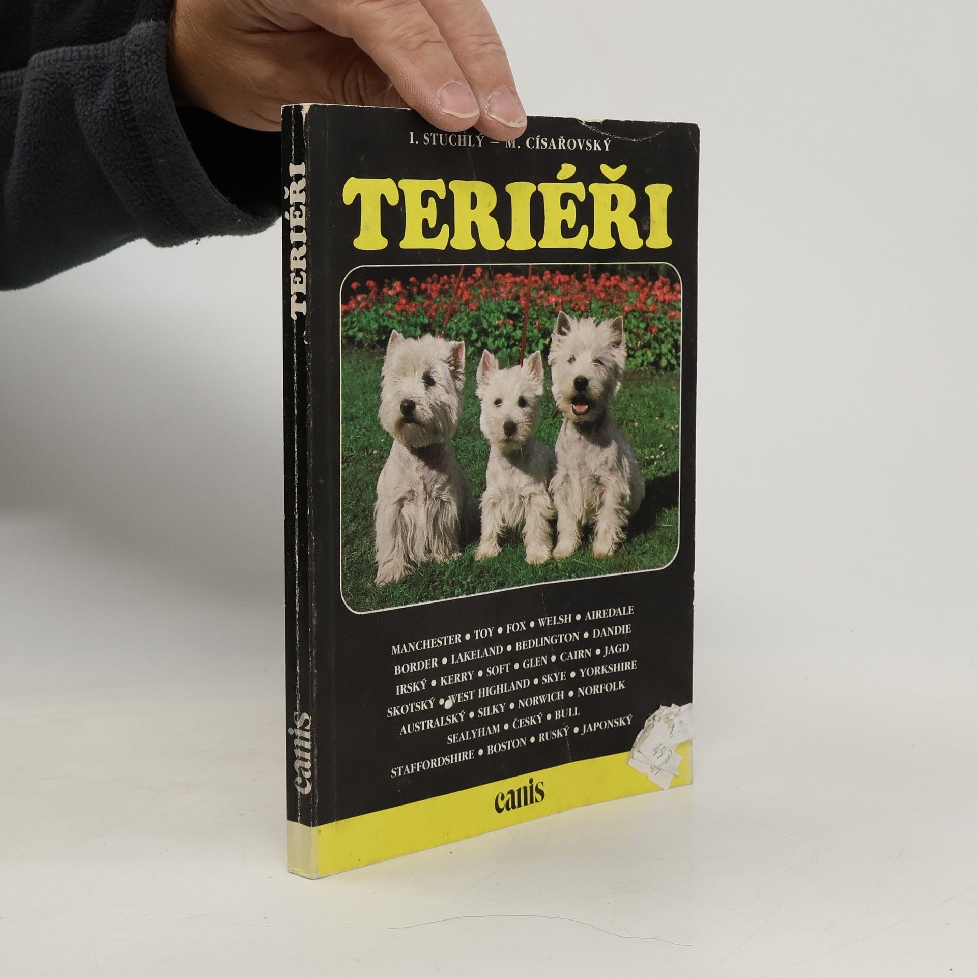 Michal Císařowský Teriéři