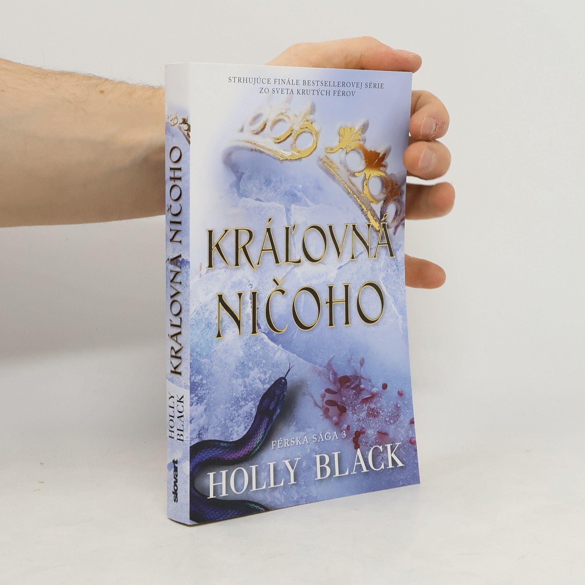 Holly Black Kráľovná ničoho