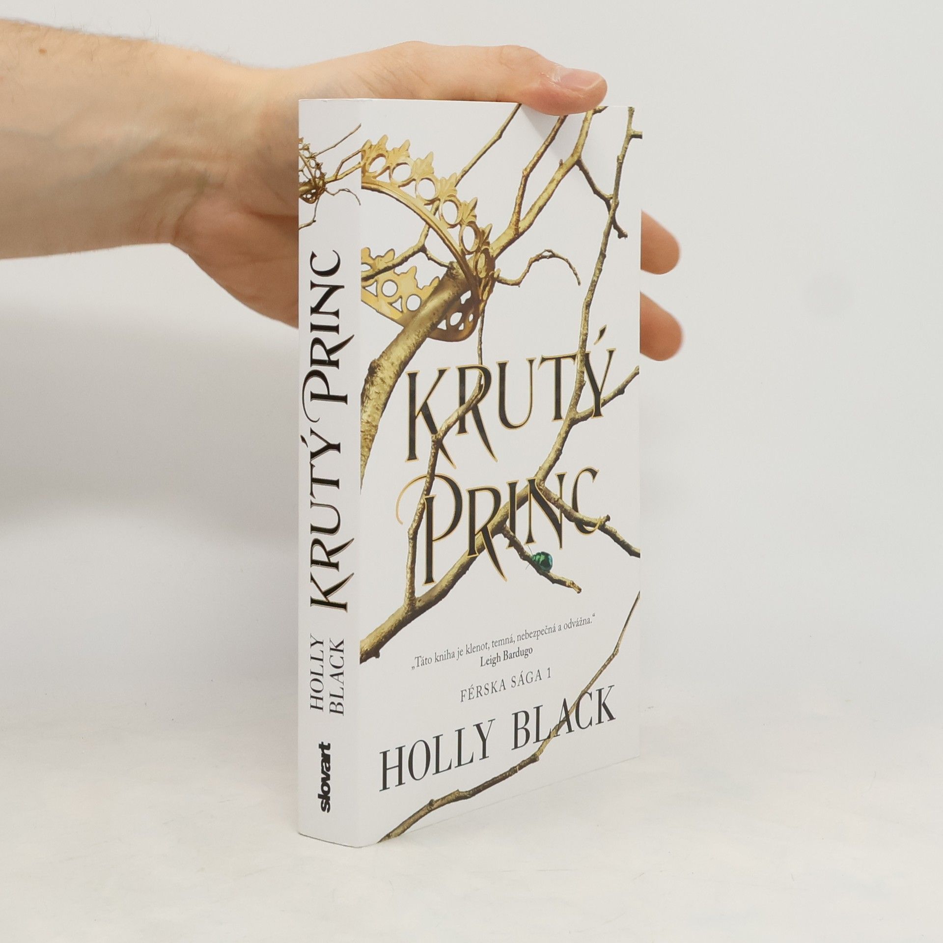 Holly Black Krutý princ