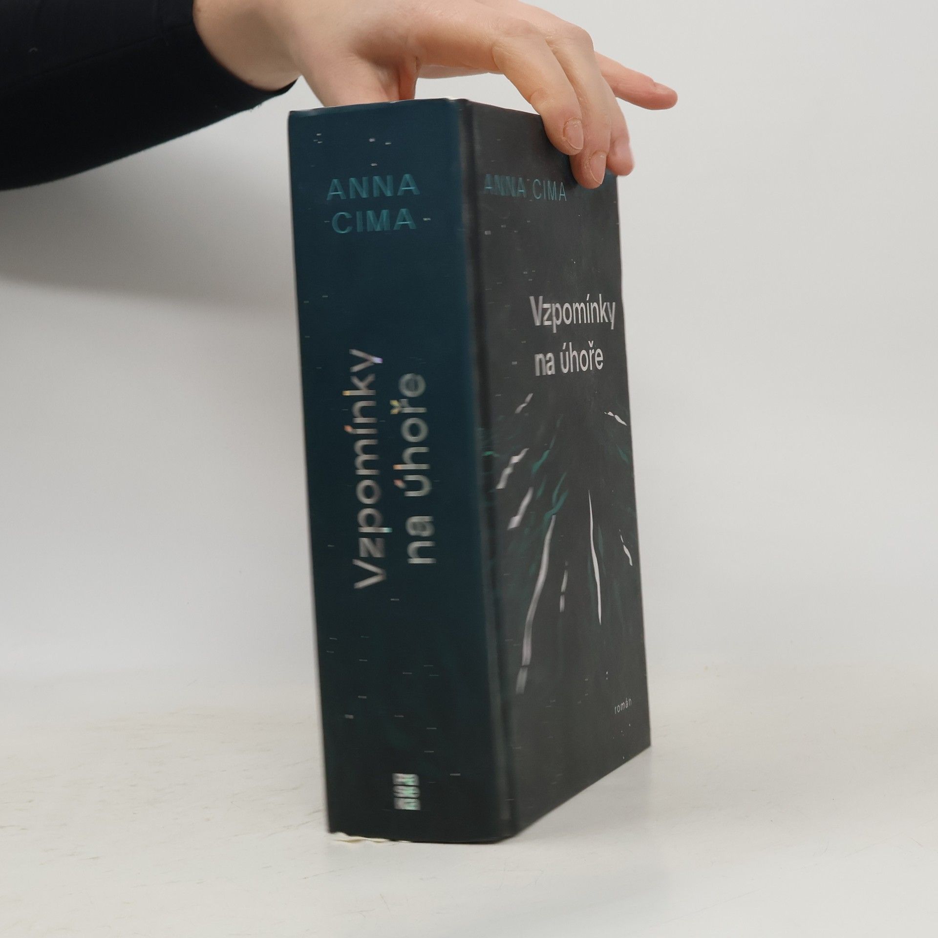 Vzpomínky na úhoře