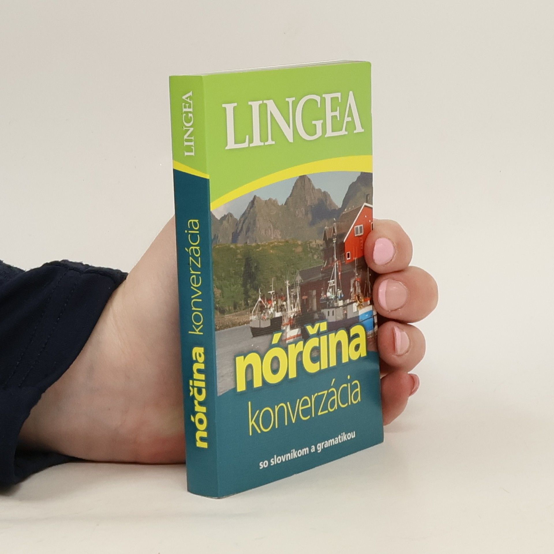 Kolektív autorov Nórčina. Konverzácia