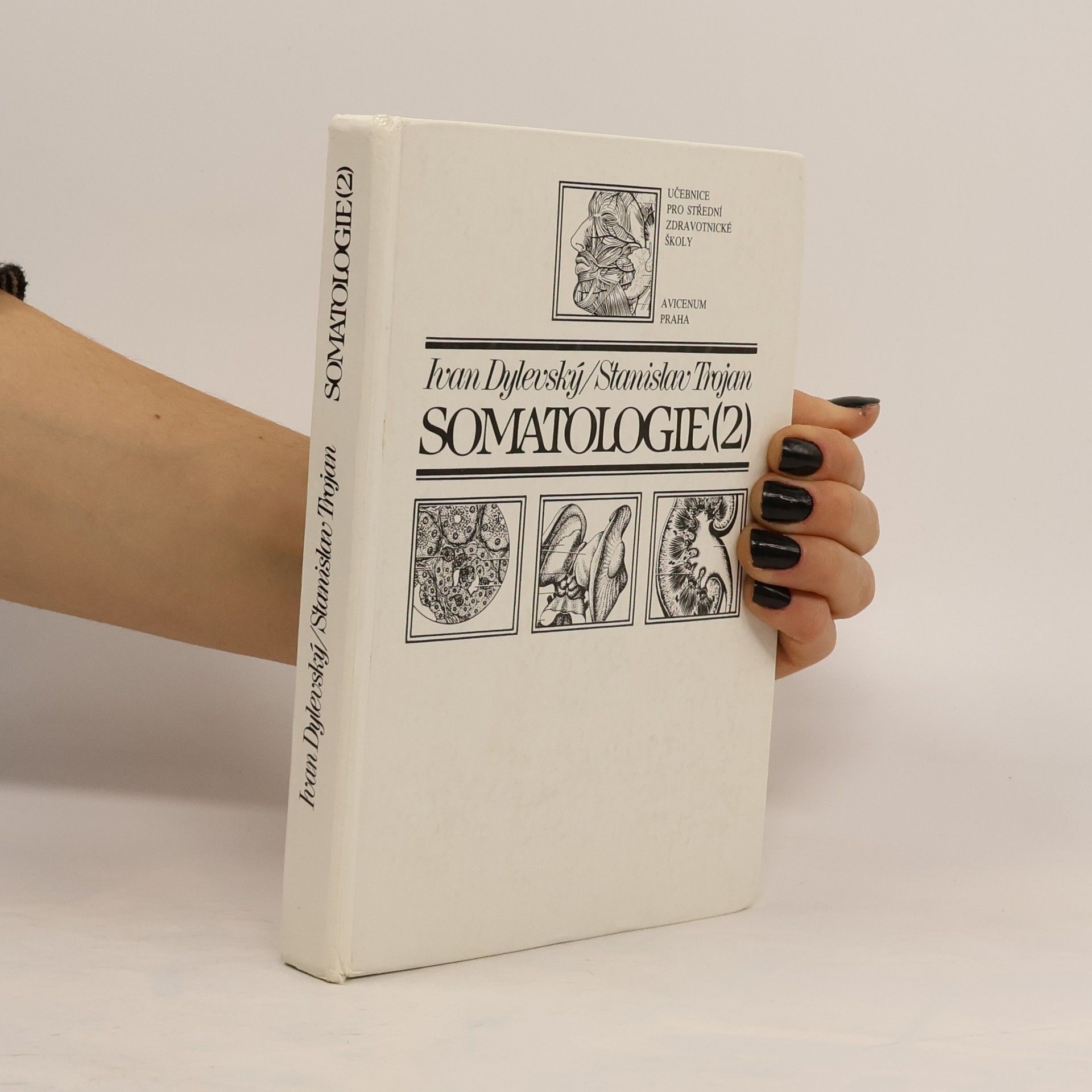 Somatologie 2