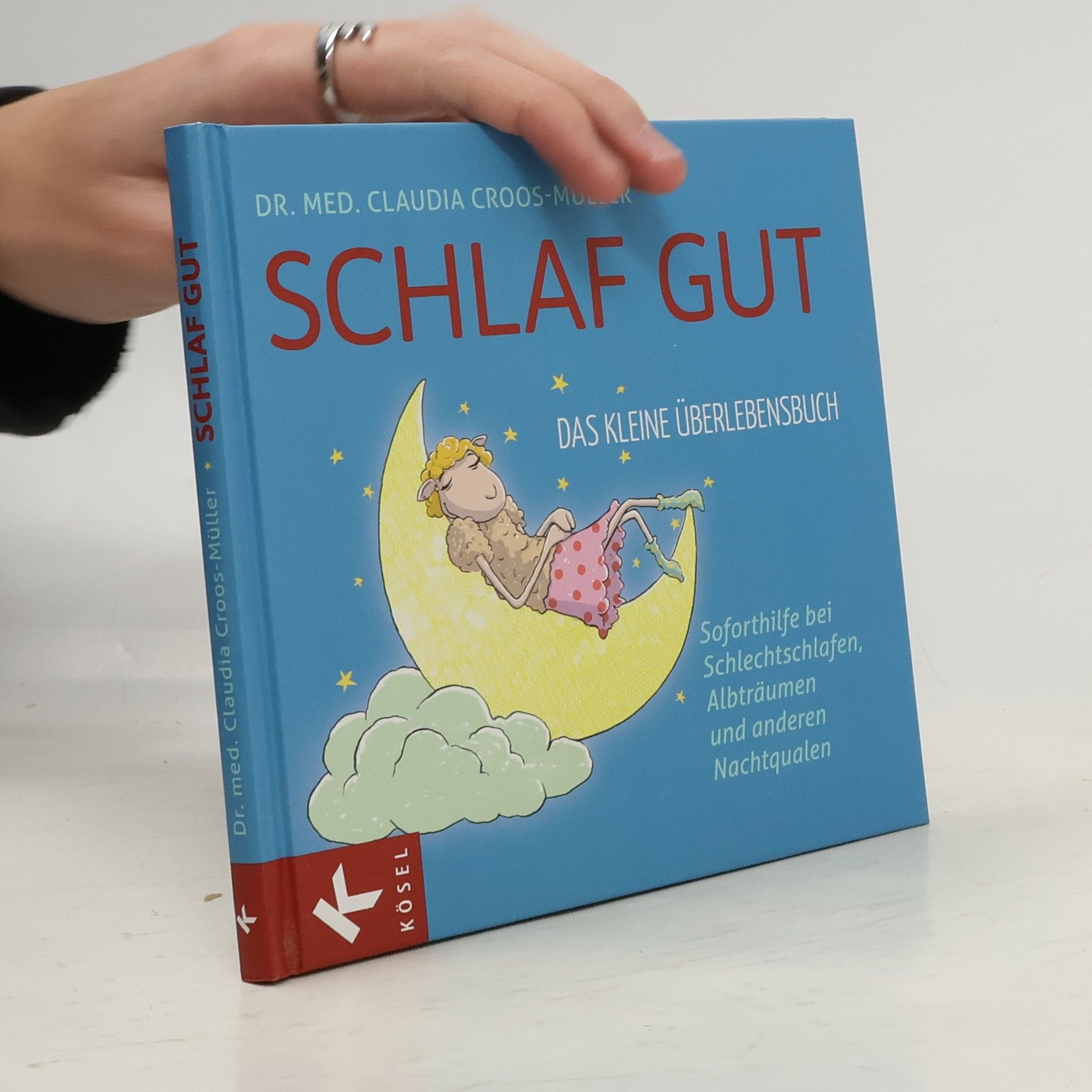 Schlaf gut - das kleine Überlebensbuch