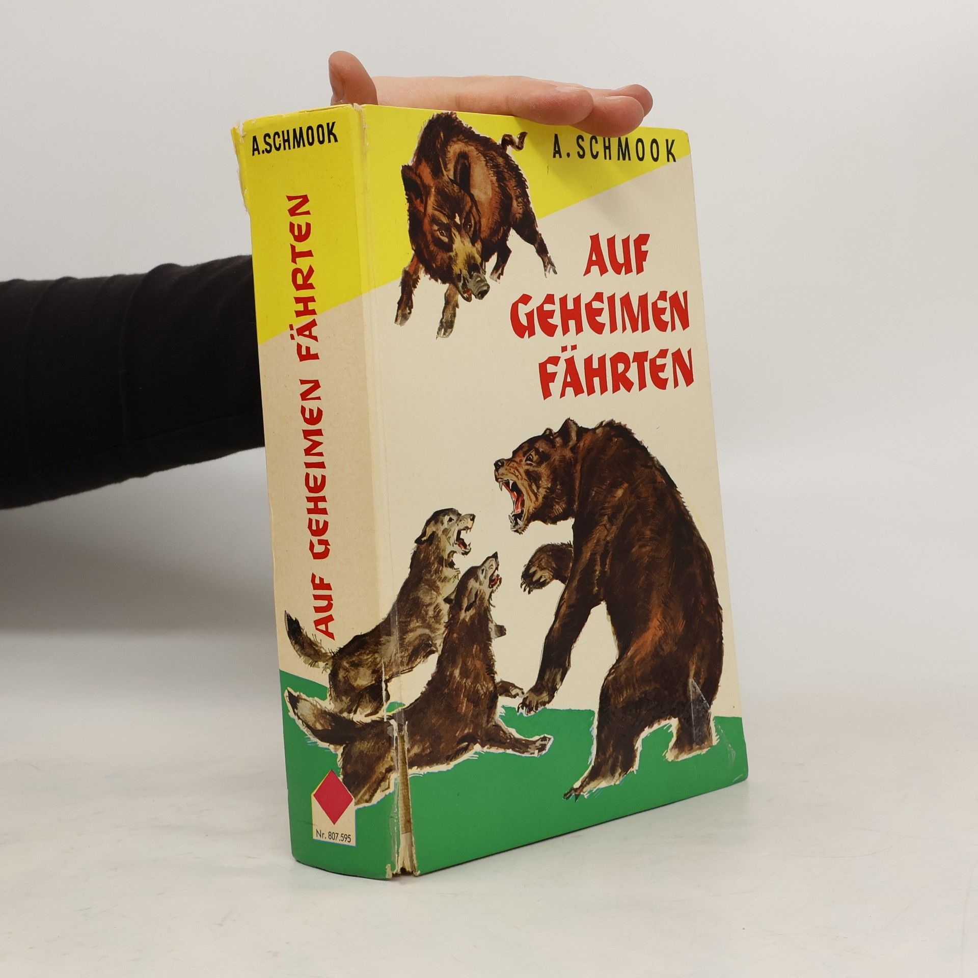 A. Schmook Auf geheimen Fährten