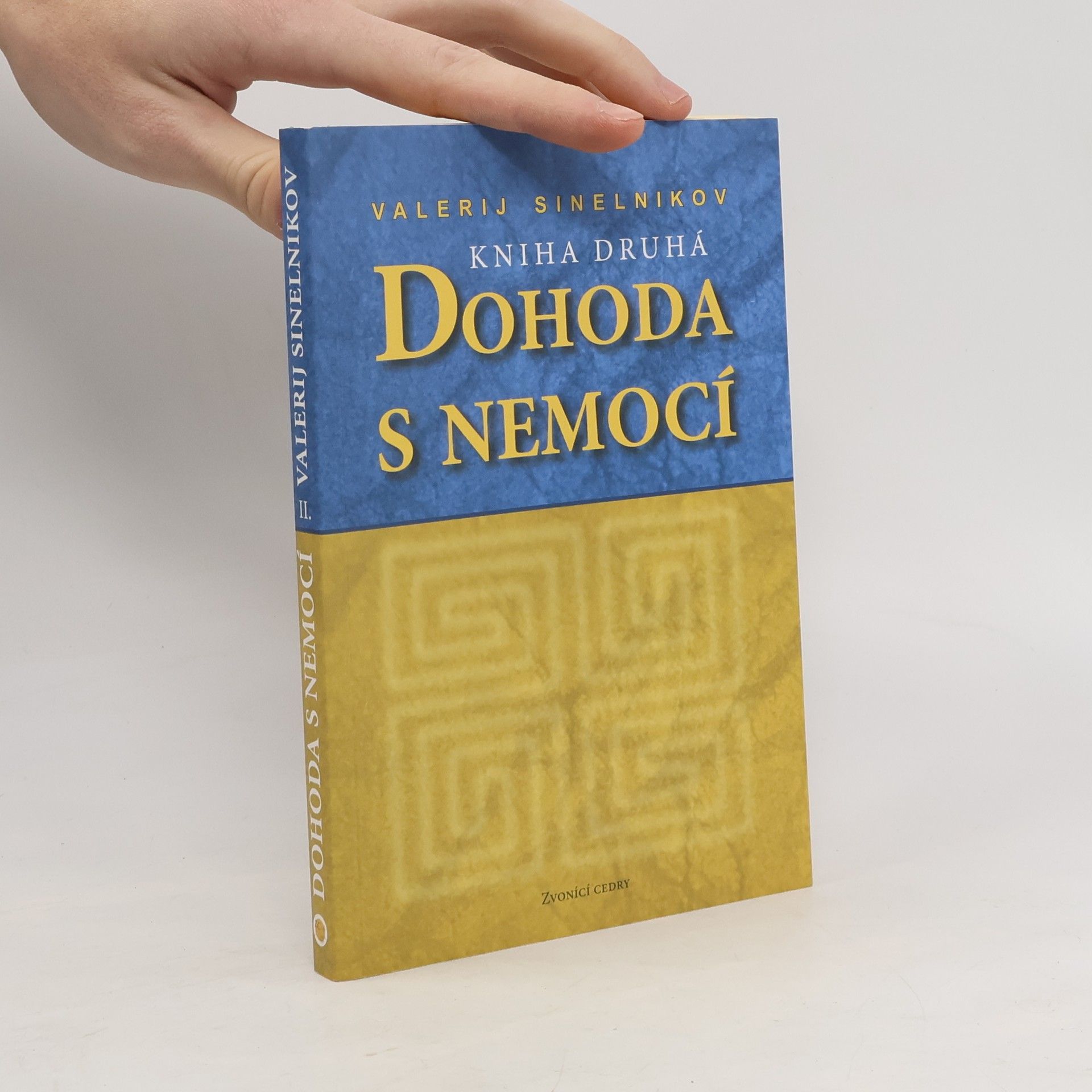 Valerij Vladimirovič Sinel‘nikov Dohoda s nemocí. Kniha druhá
