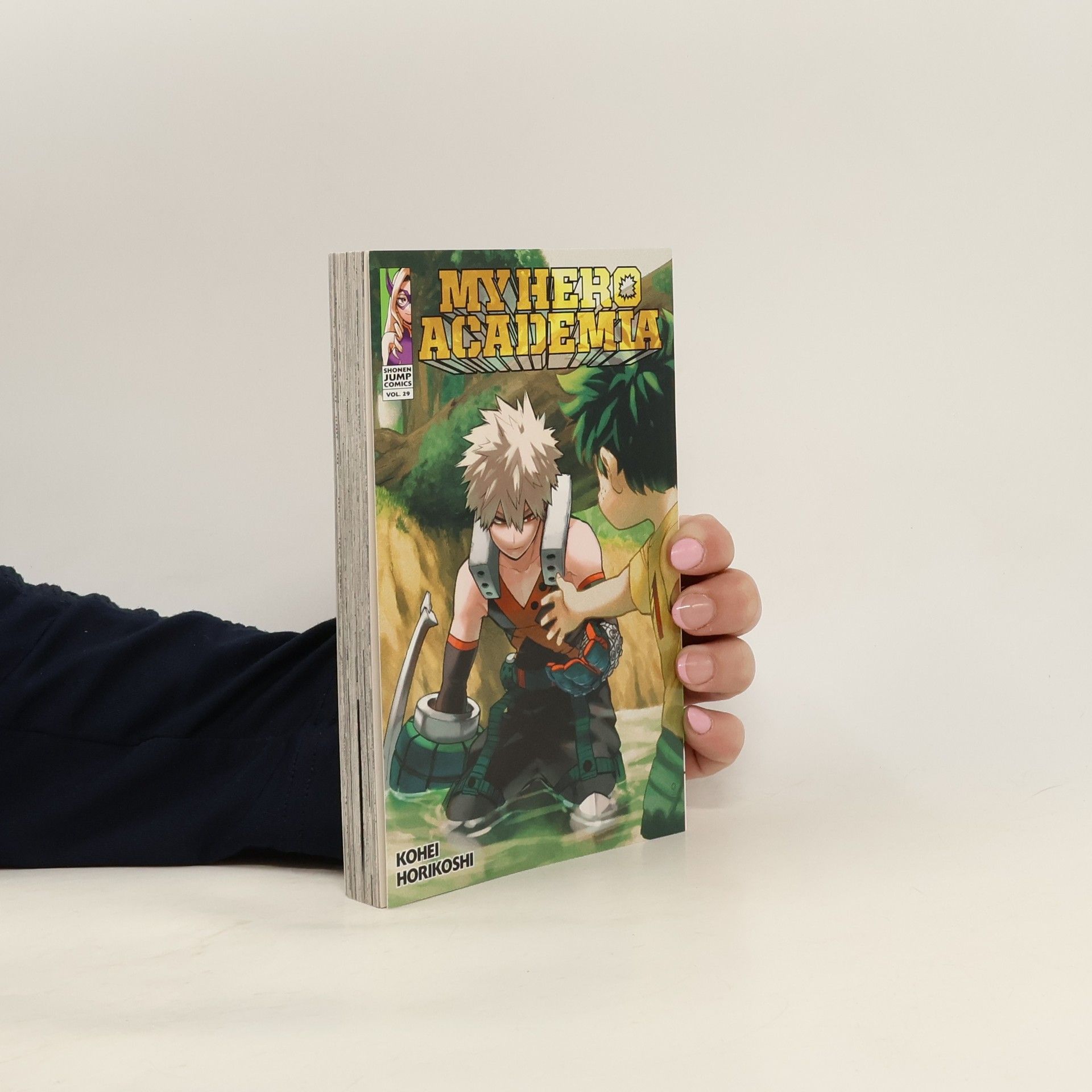 Kohei Horikoshi My Hero Academia, Vol. 29