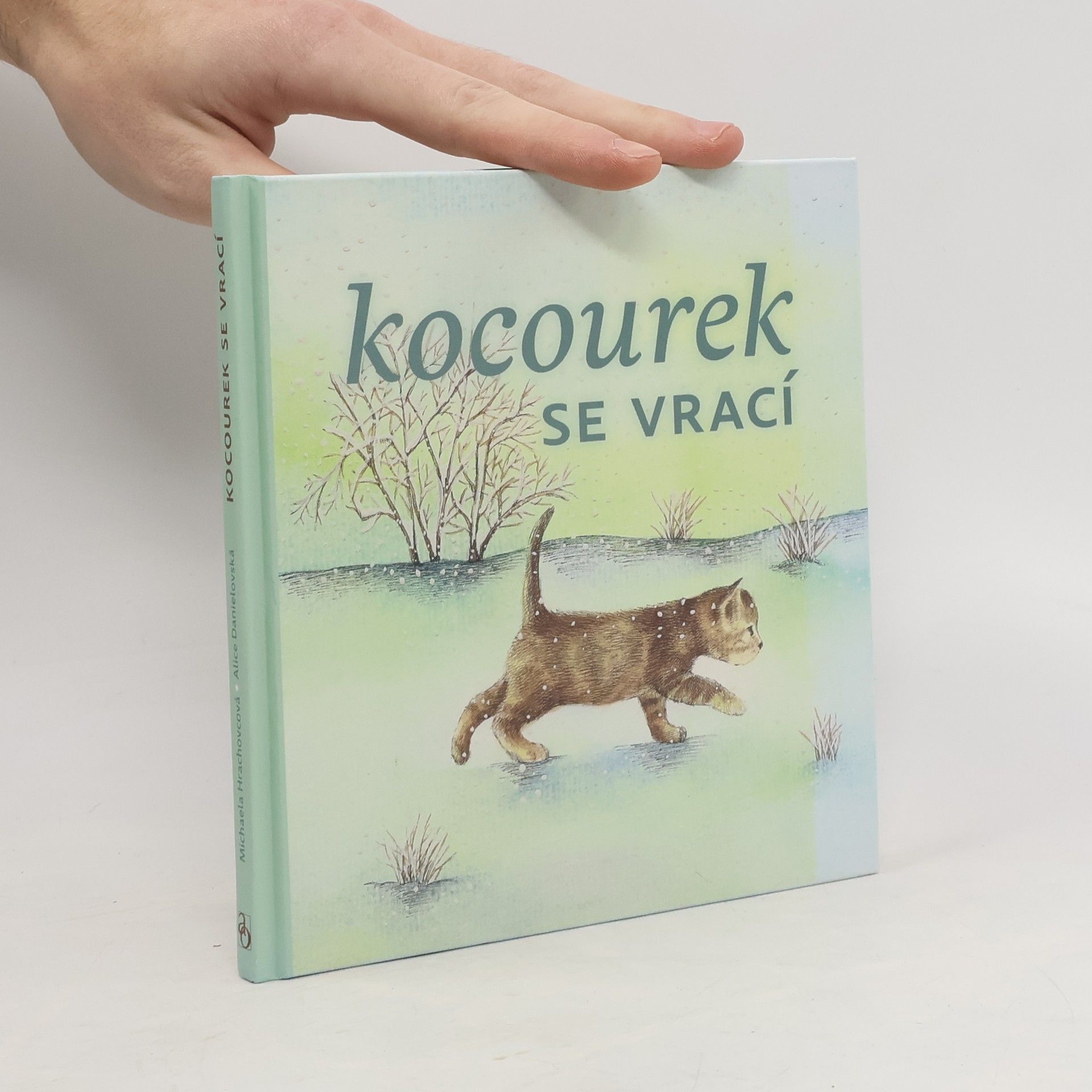 Michaela Hrachovcová Kocourek se vrací