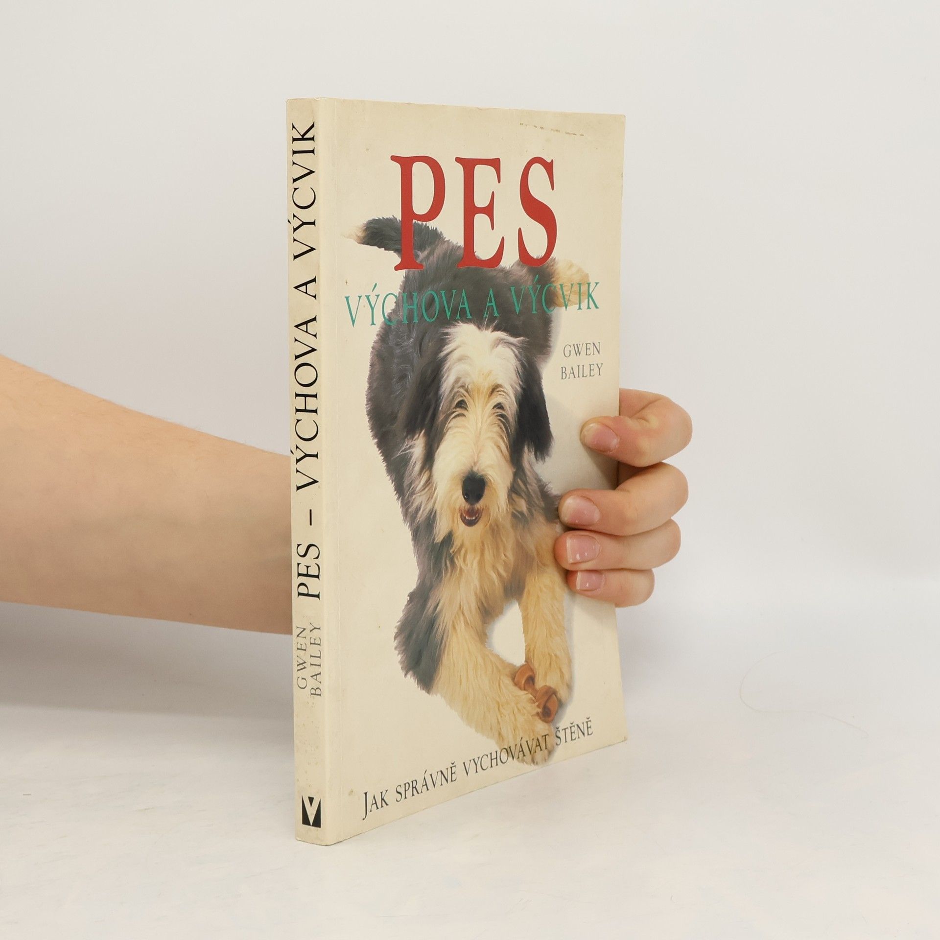 Pes. Výchova a výcvik. Jak správně vychovávat štěně