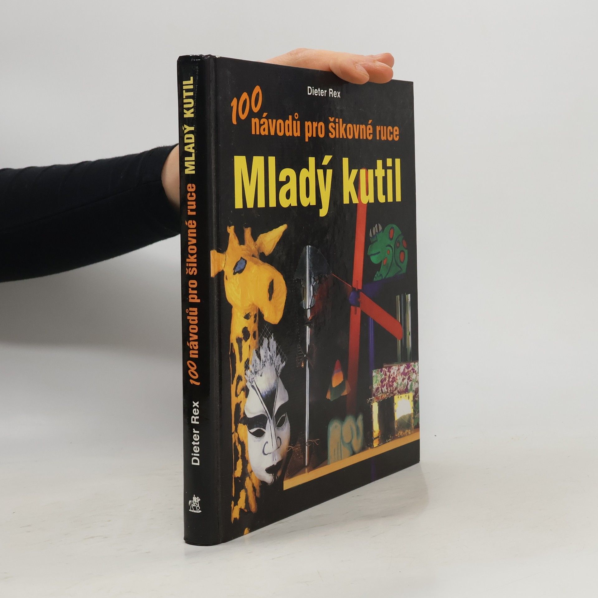 Dieter Rex Mladý kutil. 100 návodů pro šikovné ruce