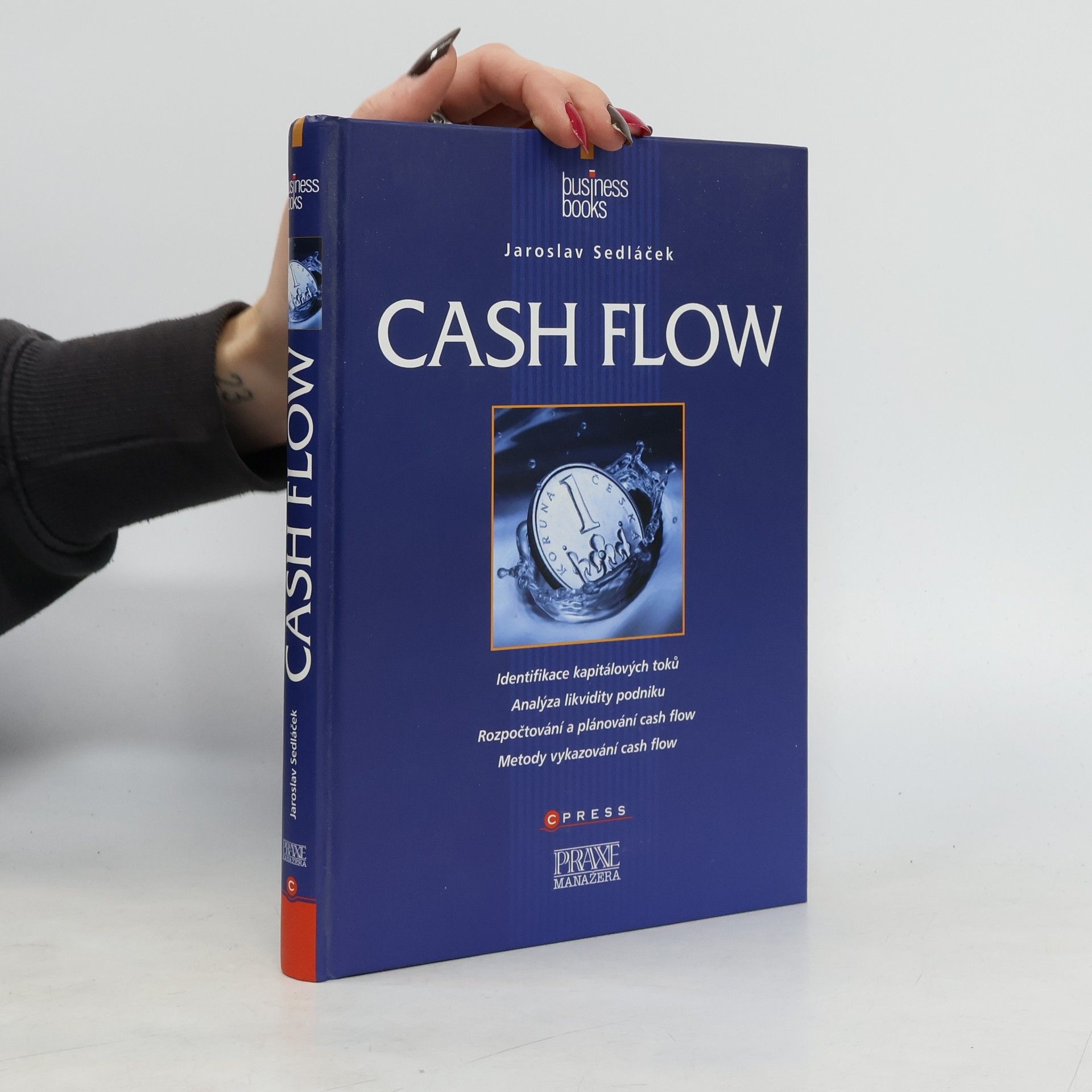 Jaroslav Sedláček Cash flow