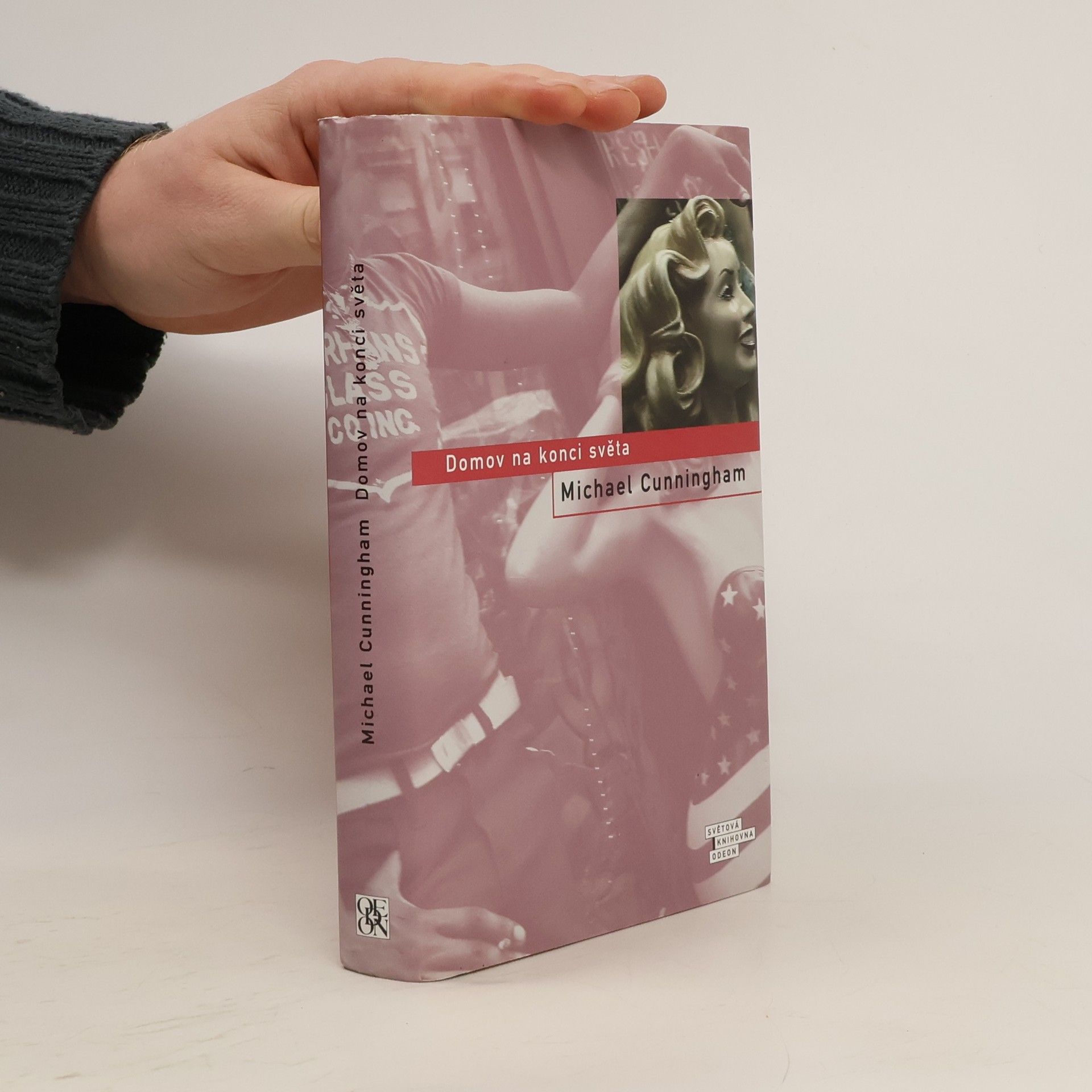 Michael Cunningham Domov na konci světa
