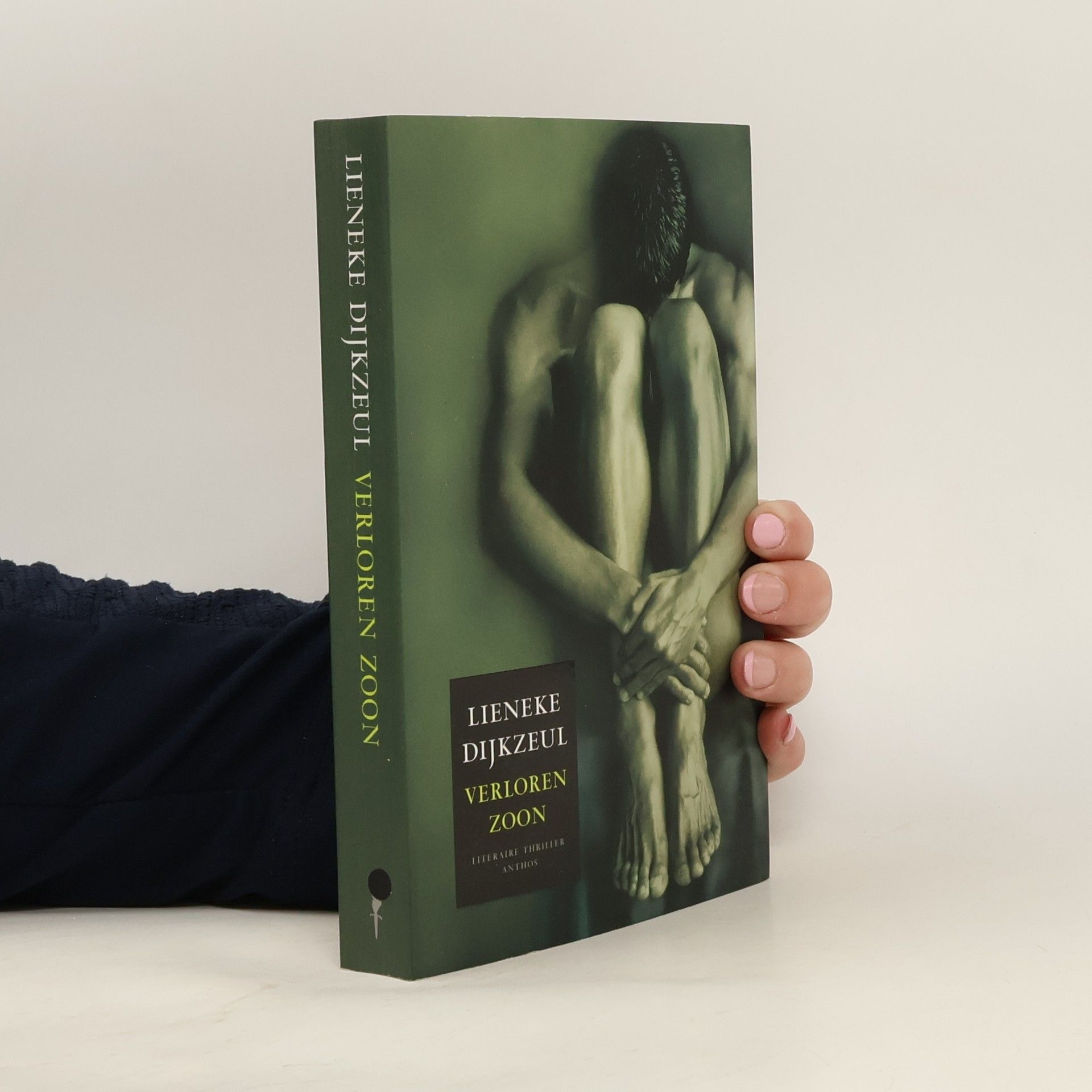 Lieneke Dijkzeul Vegter serie - 4: Verloren zoon