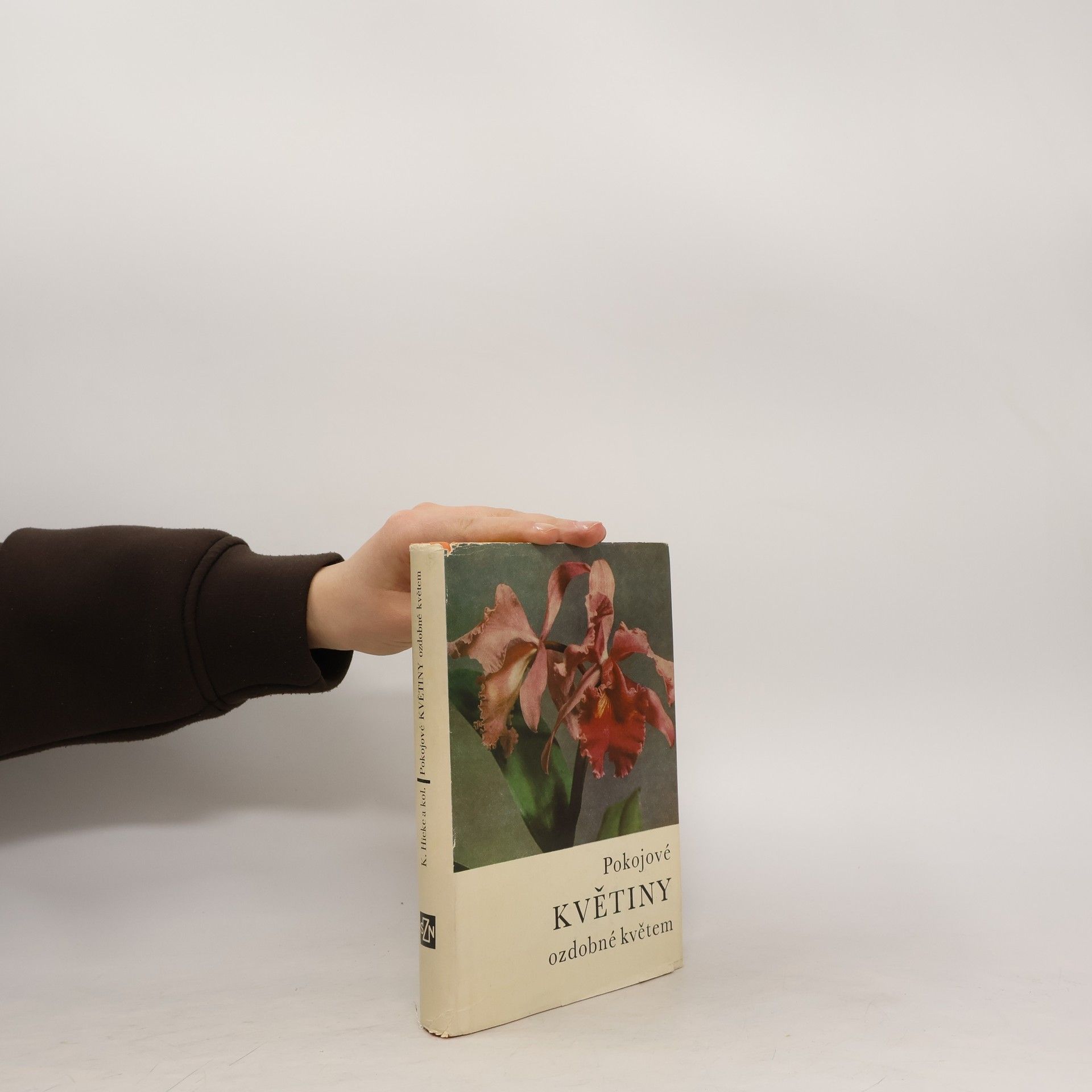Karel Hieke Pokojové květiny ozdobné květem