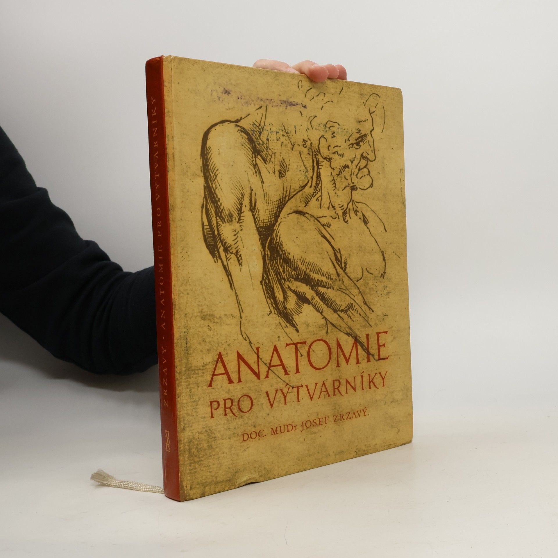 Josef Zrzavý Anatomie pro výtvarníky