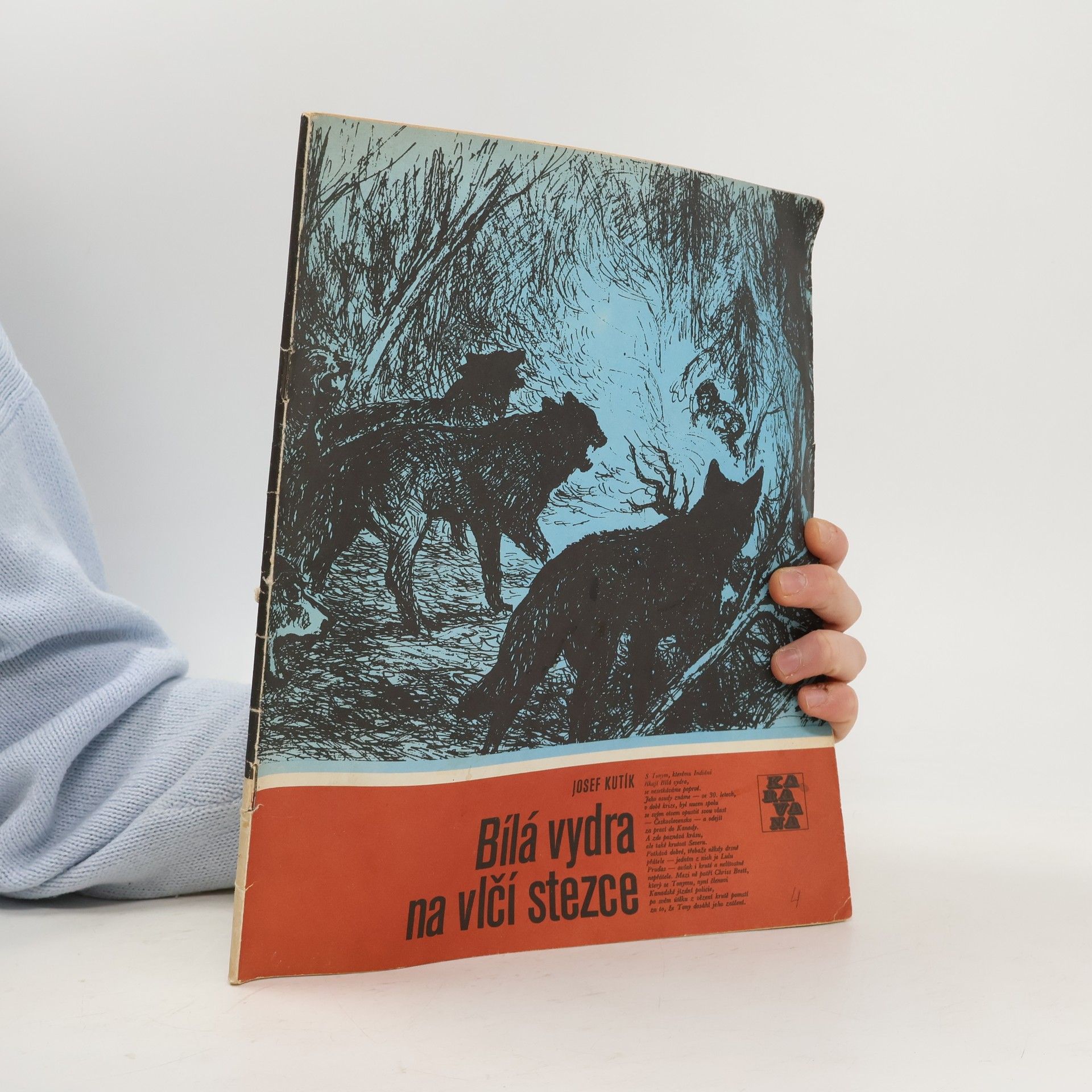 Karavana č. 186. Bílá vydra na vlčí stezce