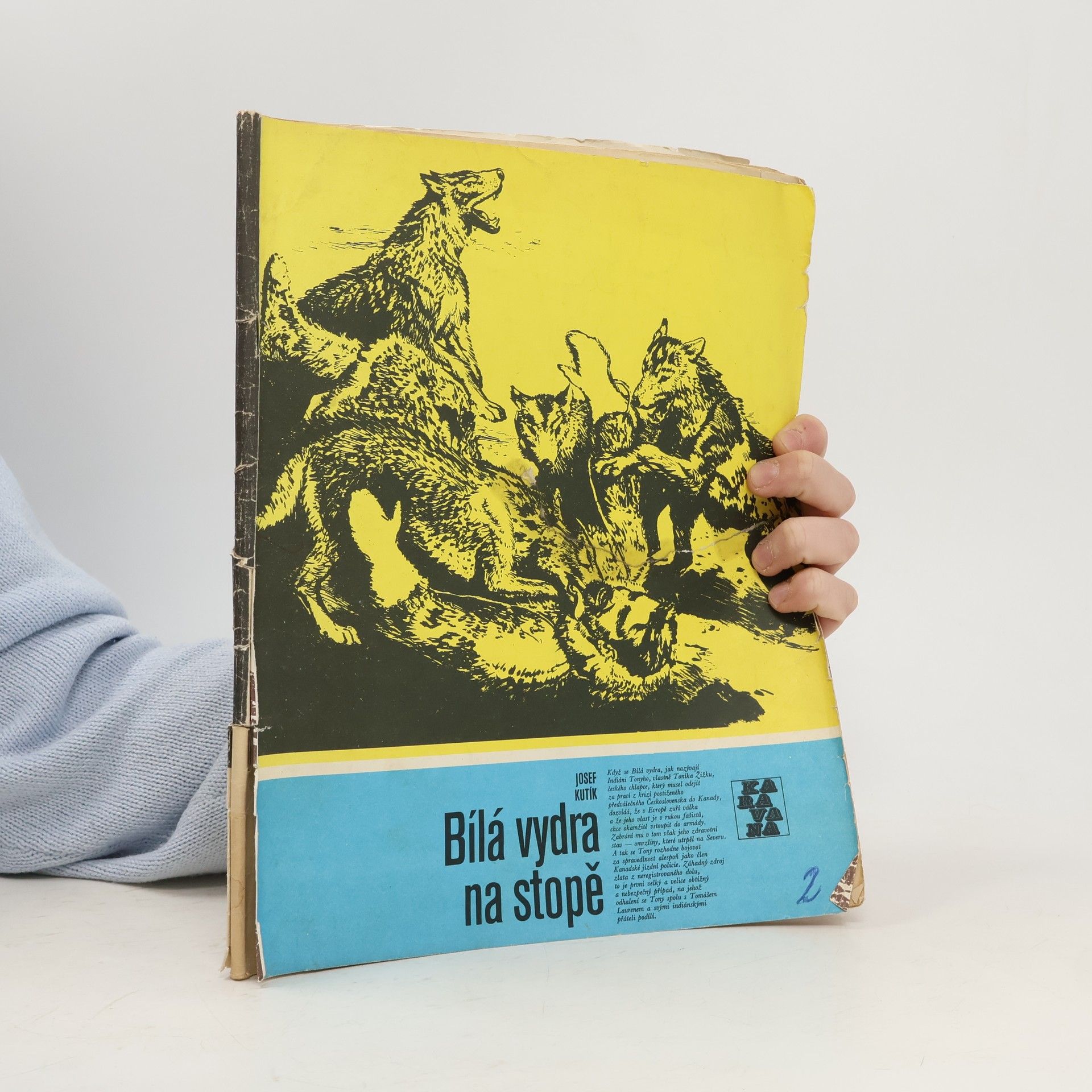 Karavana 145: Bílá vydra na stopě