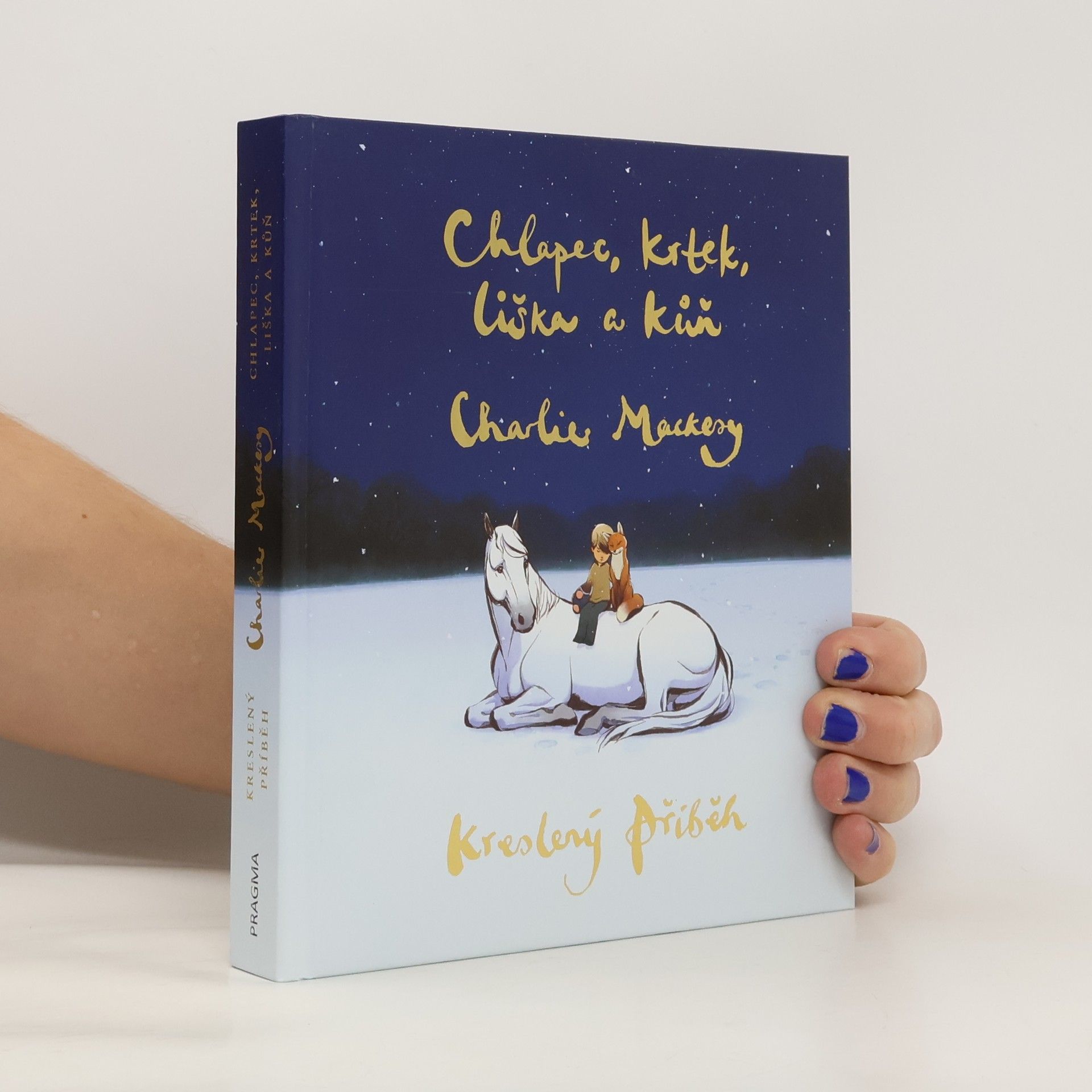 Charlie Mackesy Chlapec, krtek, liška a kůň : kreslený příběh