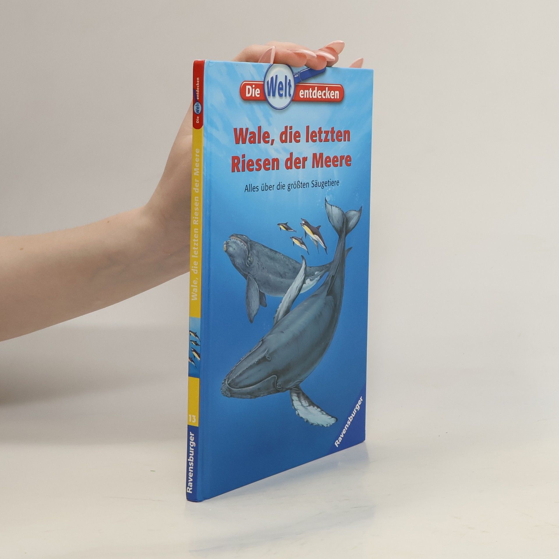 Wale, die letzten Riesen der Meere