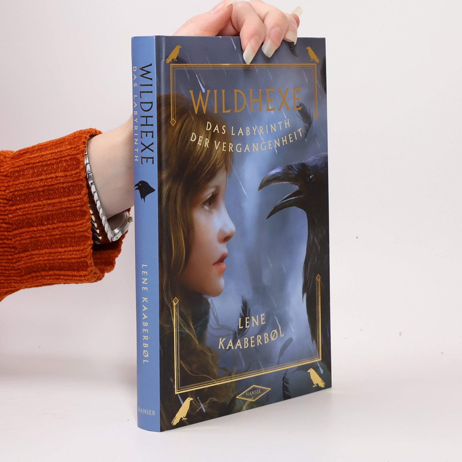 Lene Kaaberbøl Wildhexe. Das Labyrinth der Vergangenheit