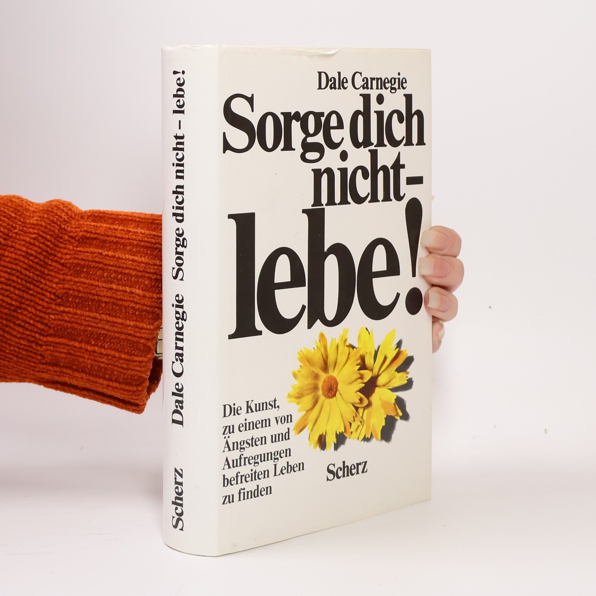 Dale Carnegie Sorge dich nicht - lebe!