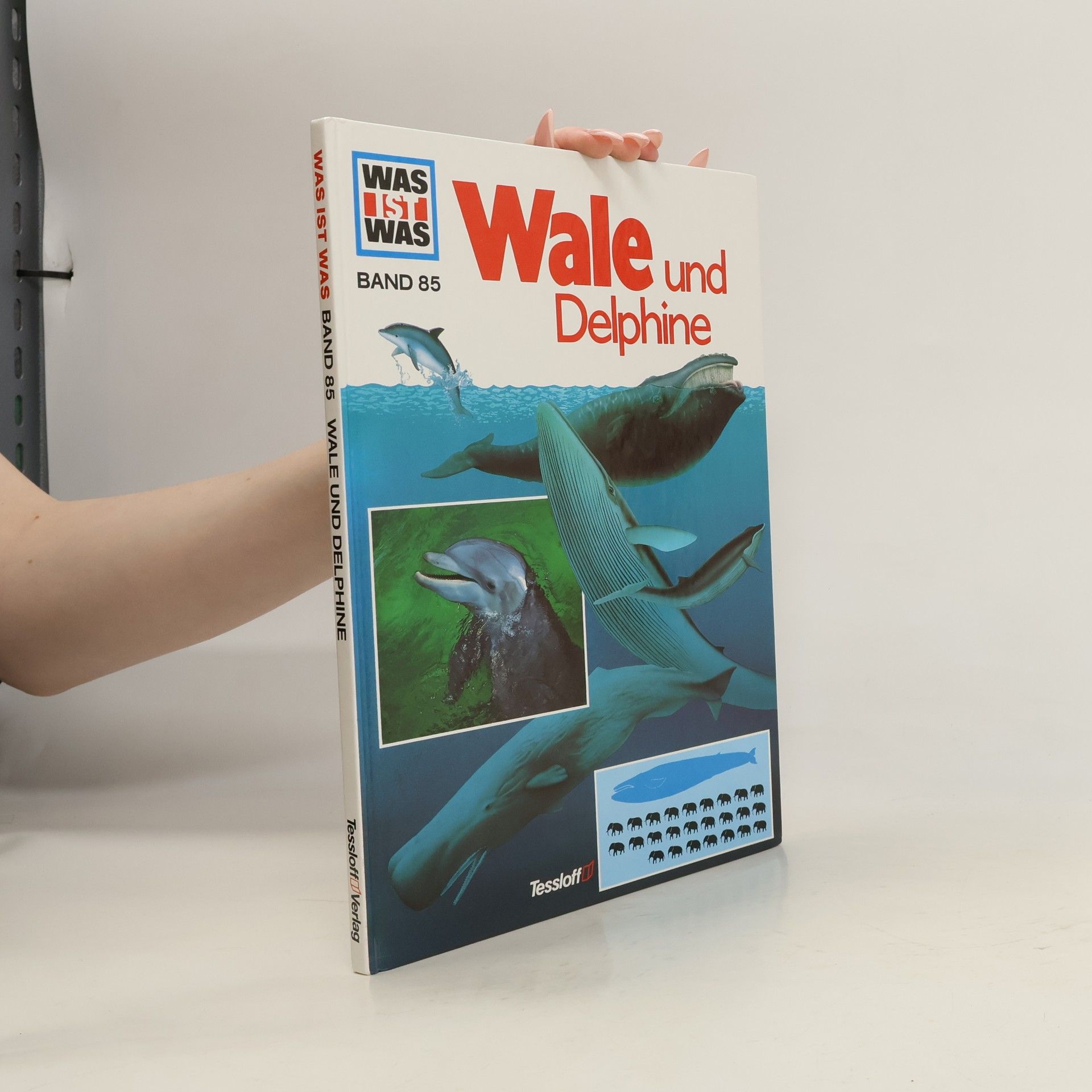 Petra Deimer-Schütte Was ist Was 85. Wale und Delphine