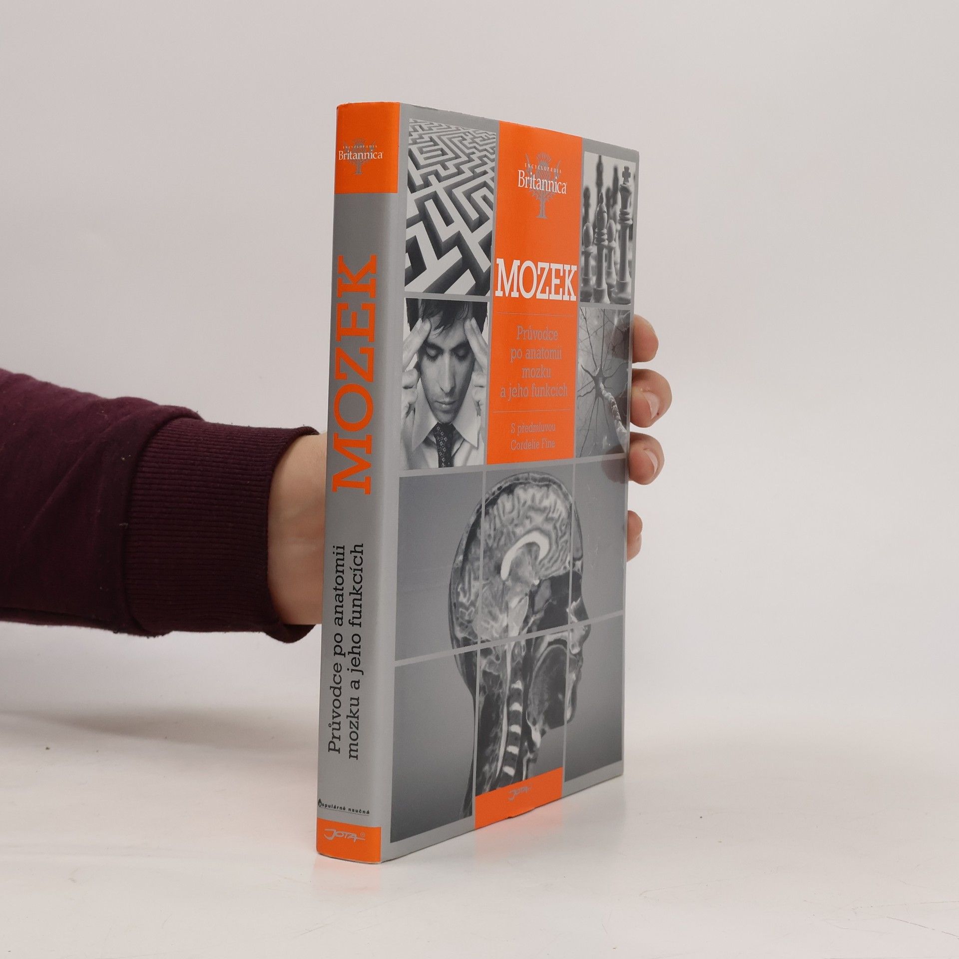 Cordelia Fine Mozek. Průvodce po anatomii mozku a jeho funkcích