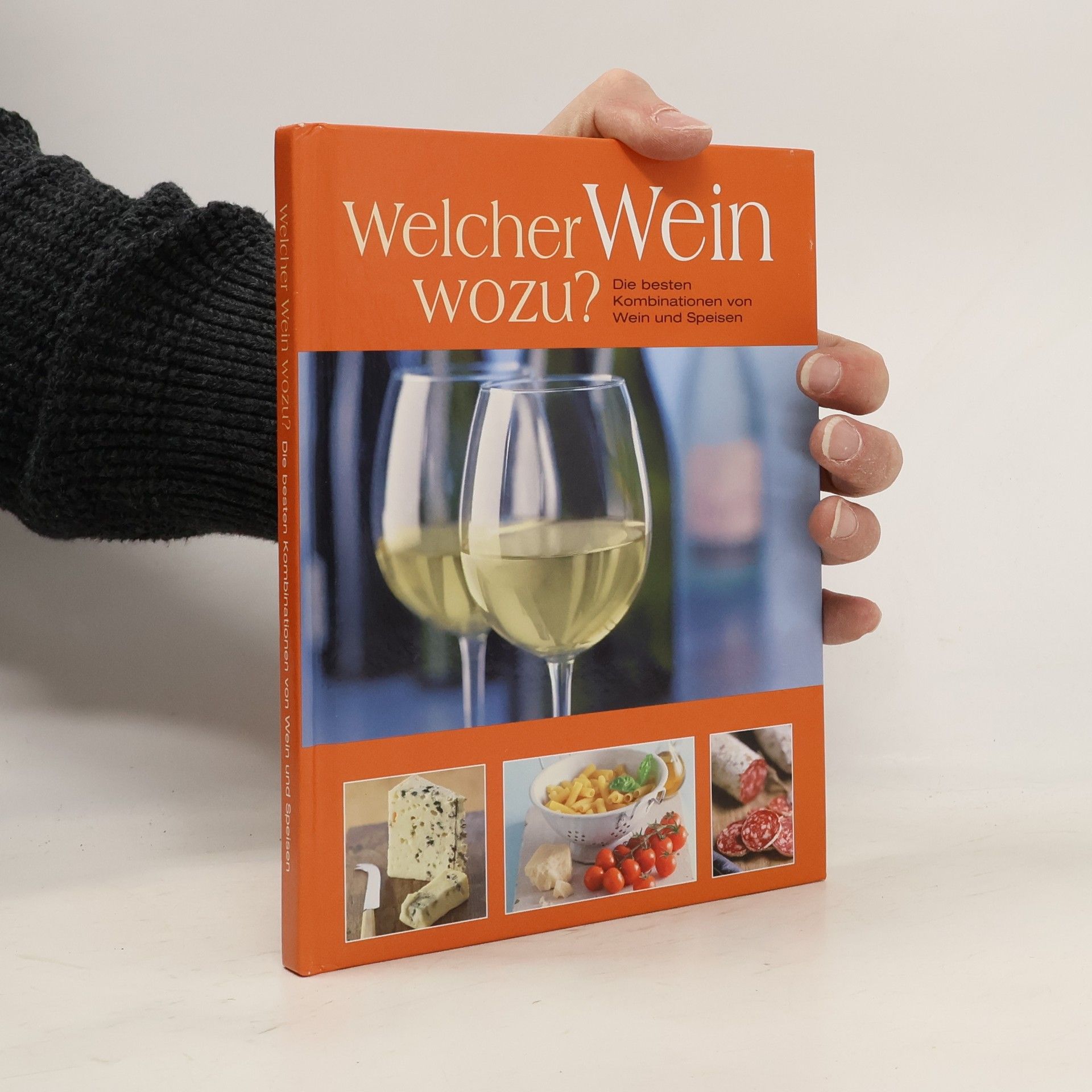 Wolfgang Huber Welcher Wein wozu?