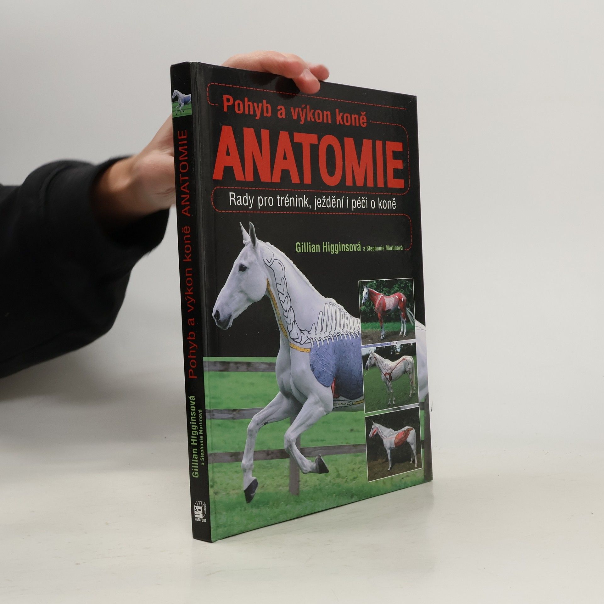 Gillian Higgins Pohyb a výkon koně. Anatomie