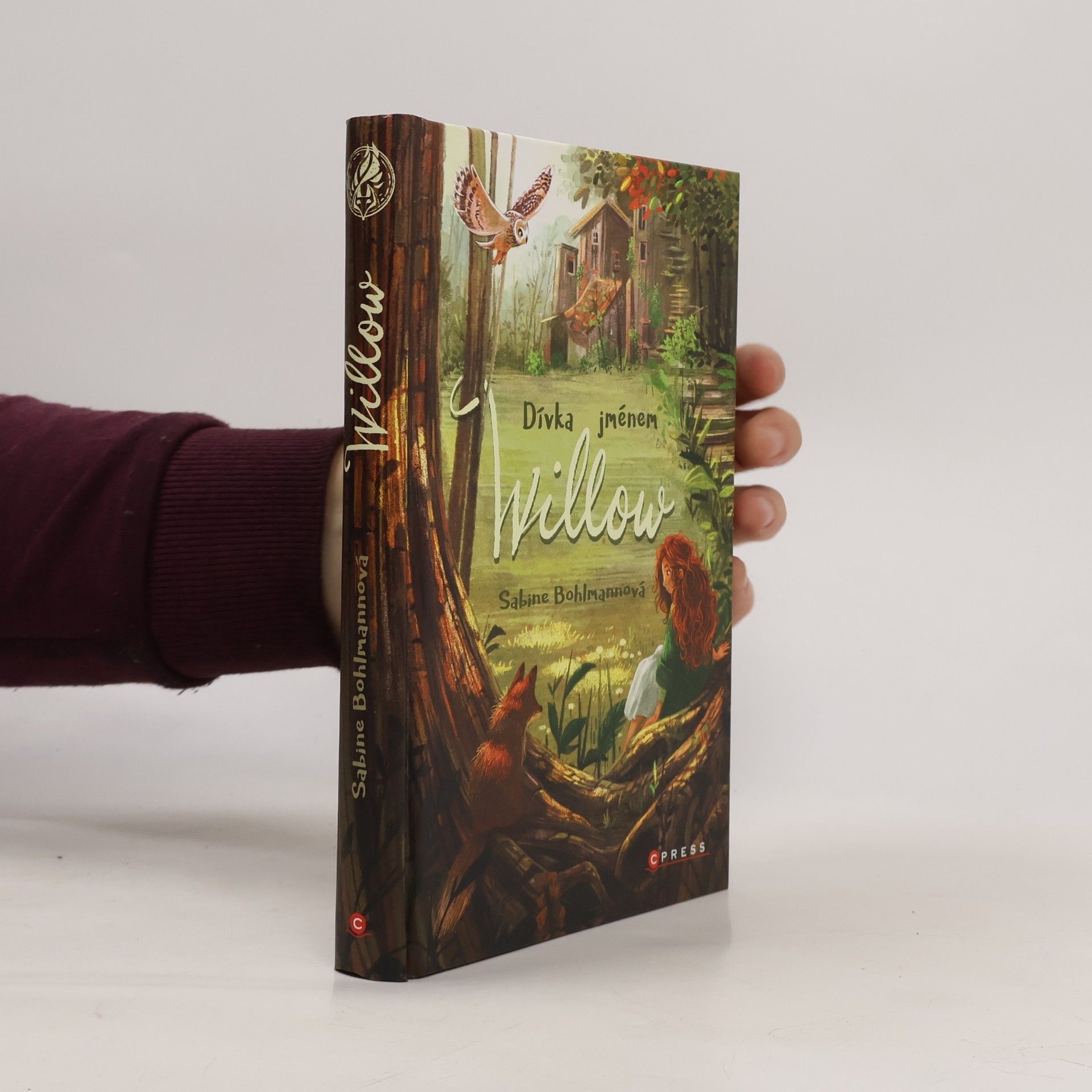 Sabine Bohlmann Dívka jménem Willow