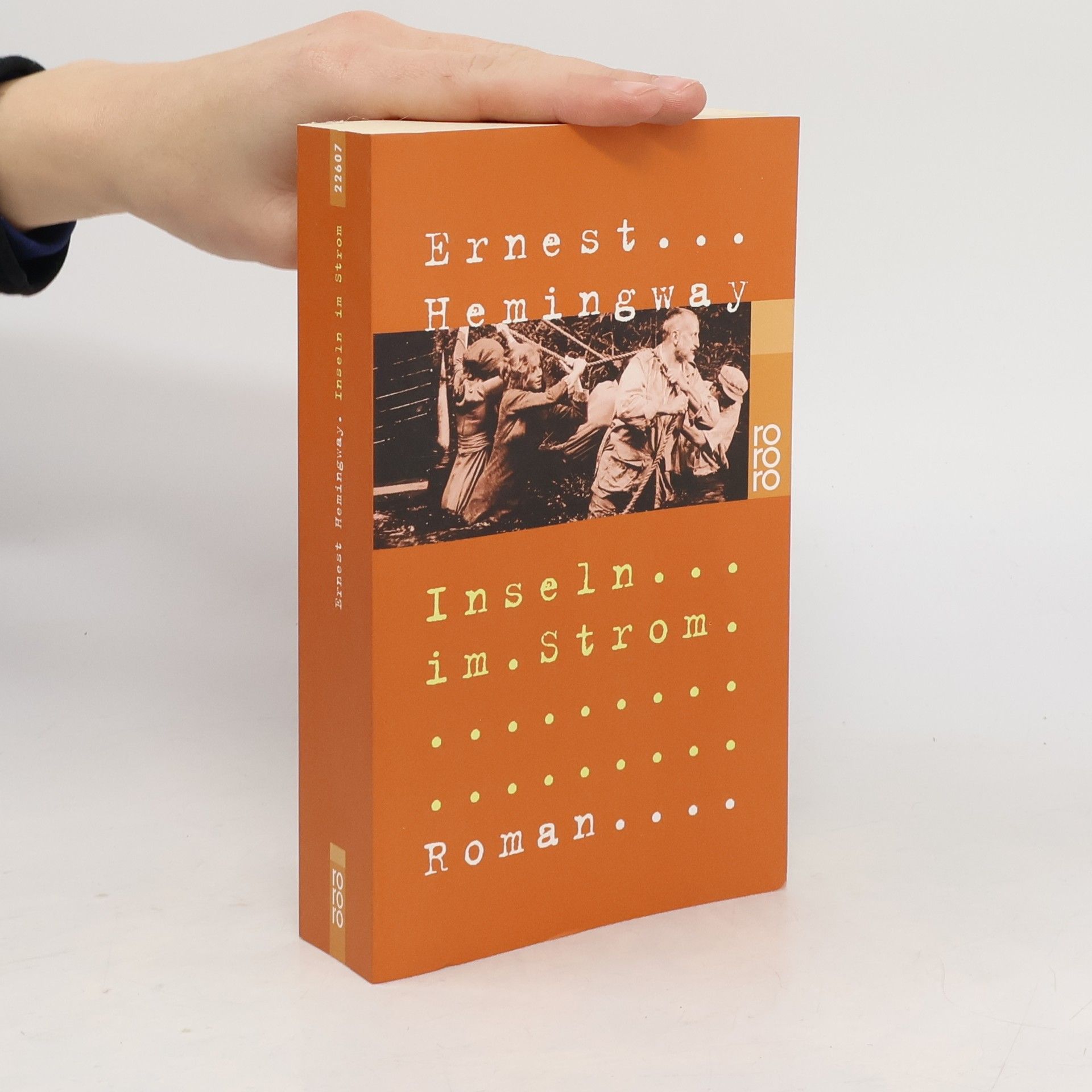 Ernest Hemingway Inseln im Strom