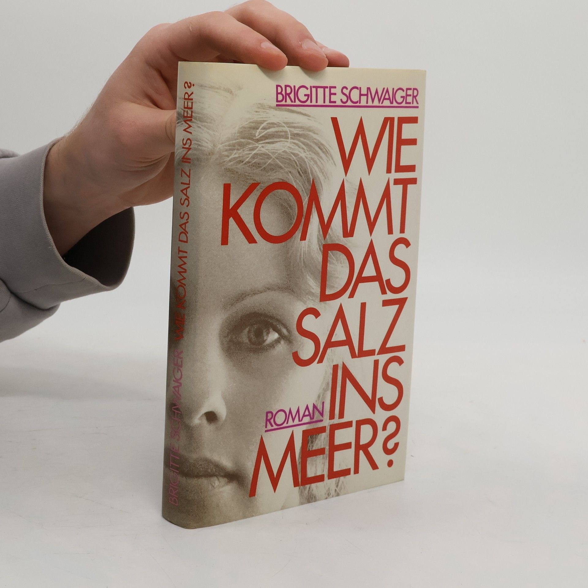 Brigitte Schwaiger Wie kommt das Salz ins Meer?