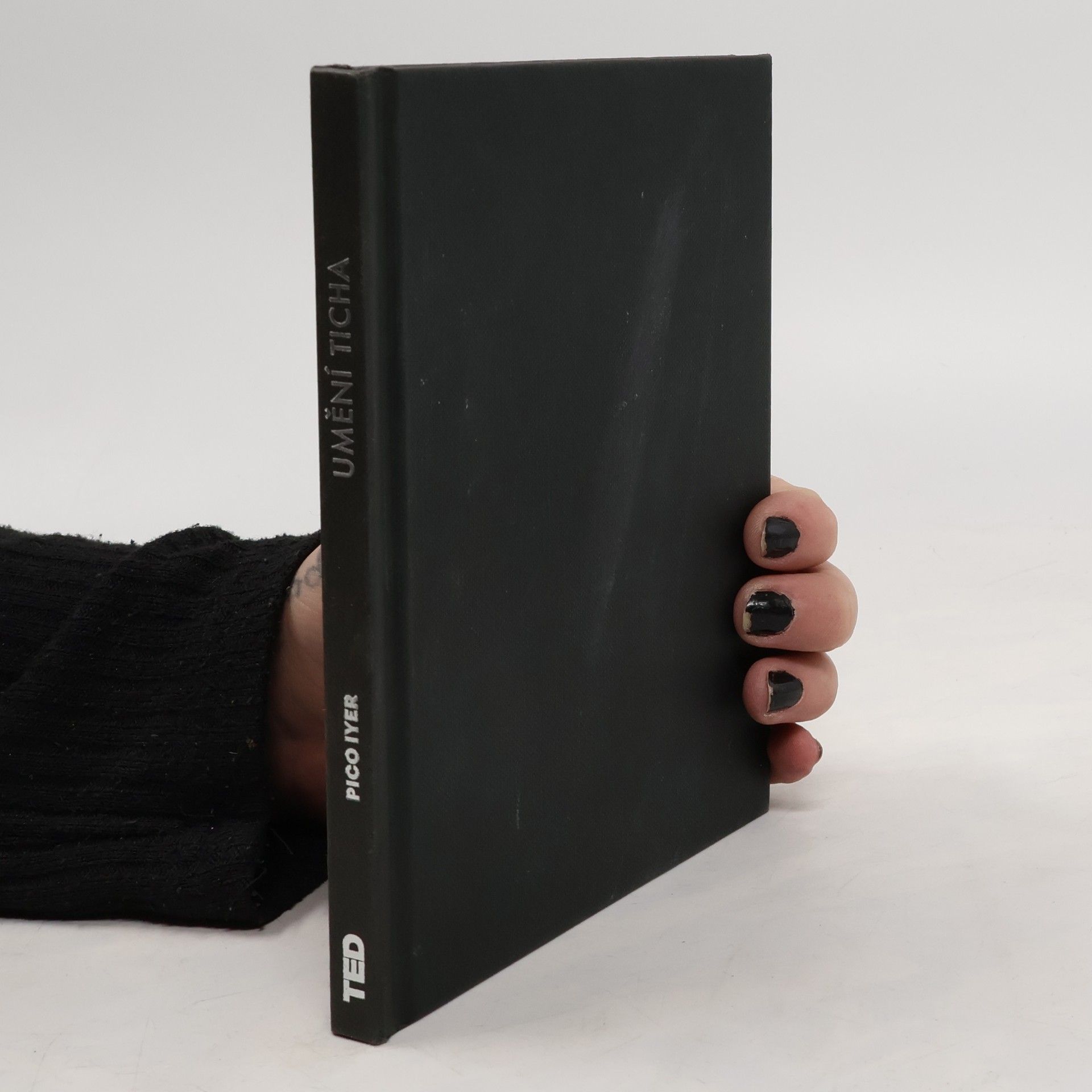 Pico Iyer Umění ticha. Zážitek z cestování do Nikam