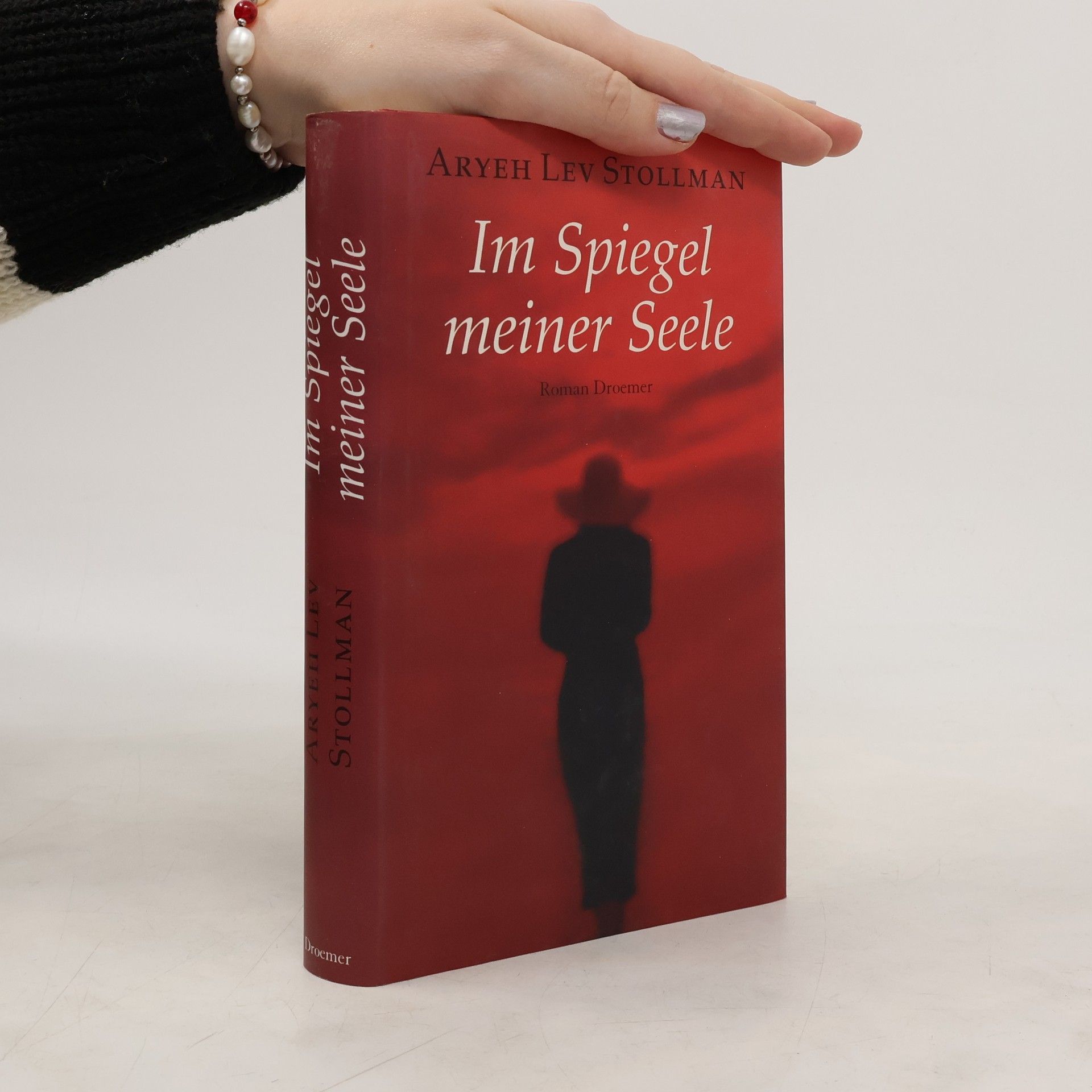 Aryeh Lev Stollman Im Spiegel meiner Seele