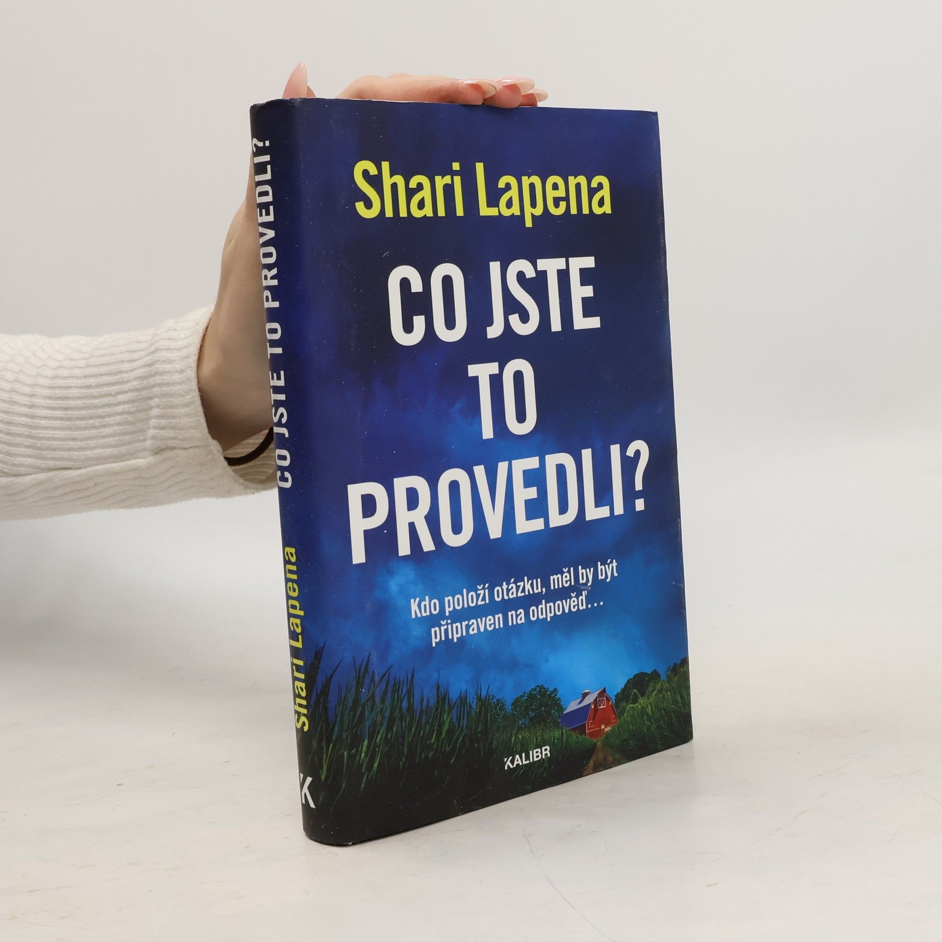 Shari Lapena Co jste to provedli?