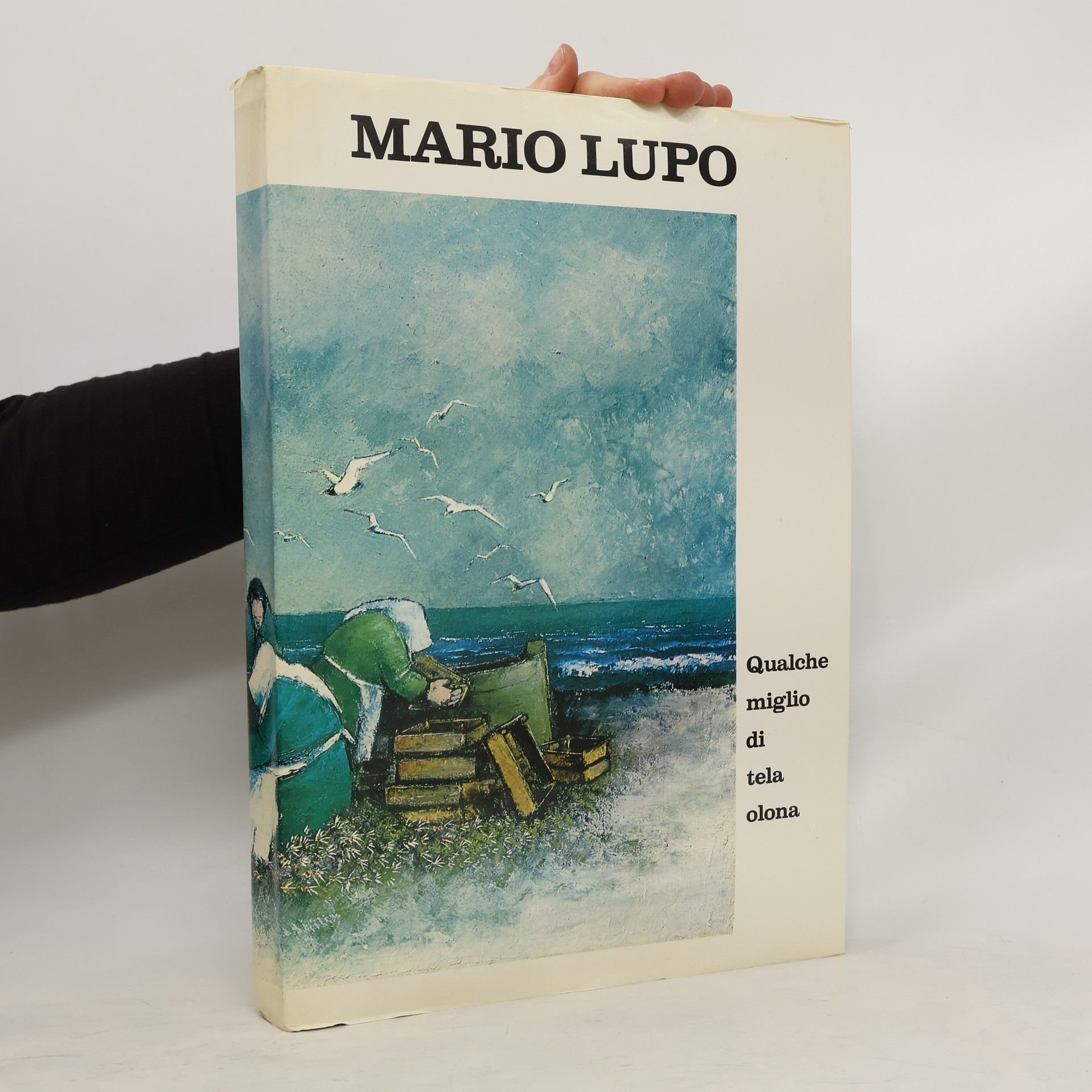 Mario Lupo Mario Lupo. Qualche miglio di tela olona
