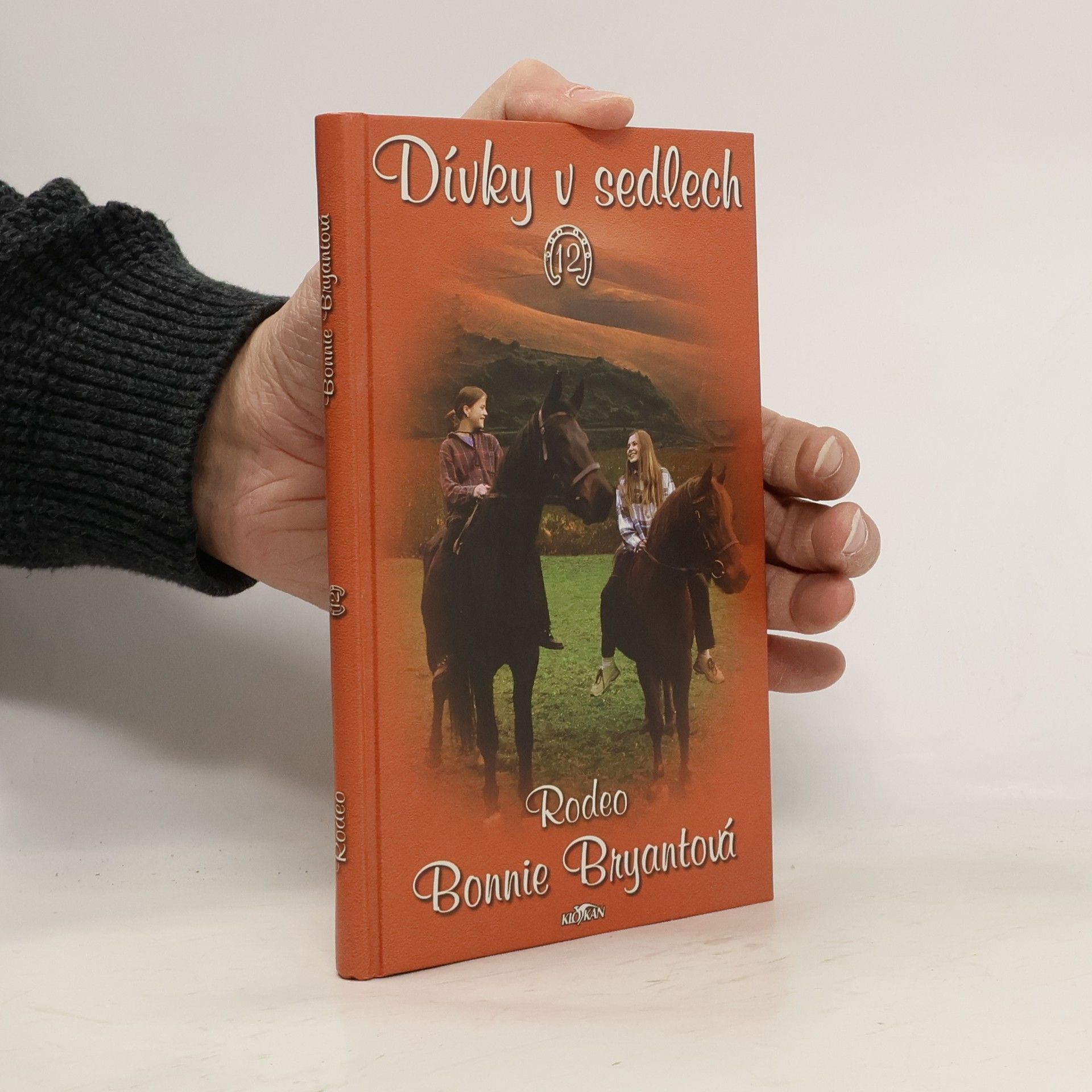 Bonnie Bryant Dívky v sedlech. 12, Rodeo