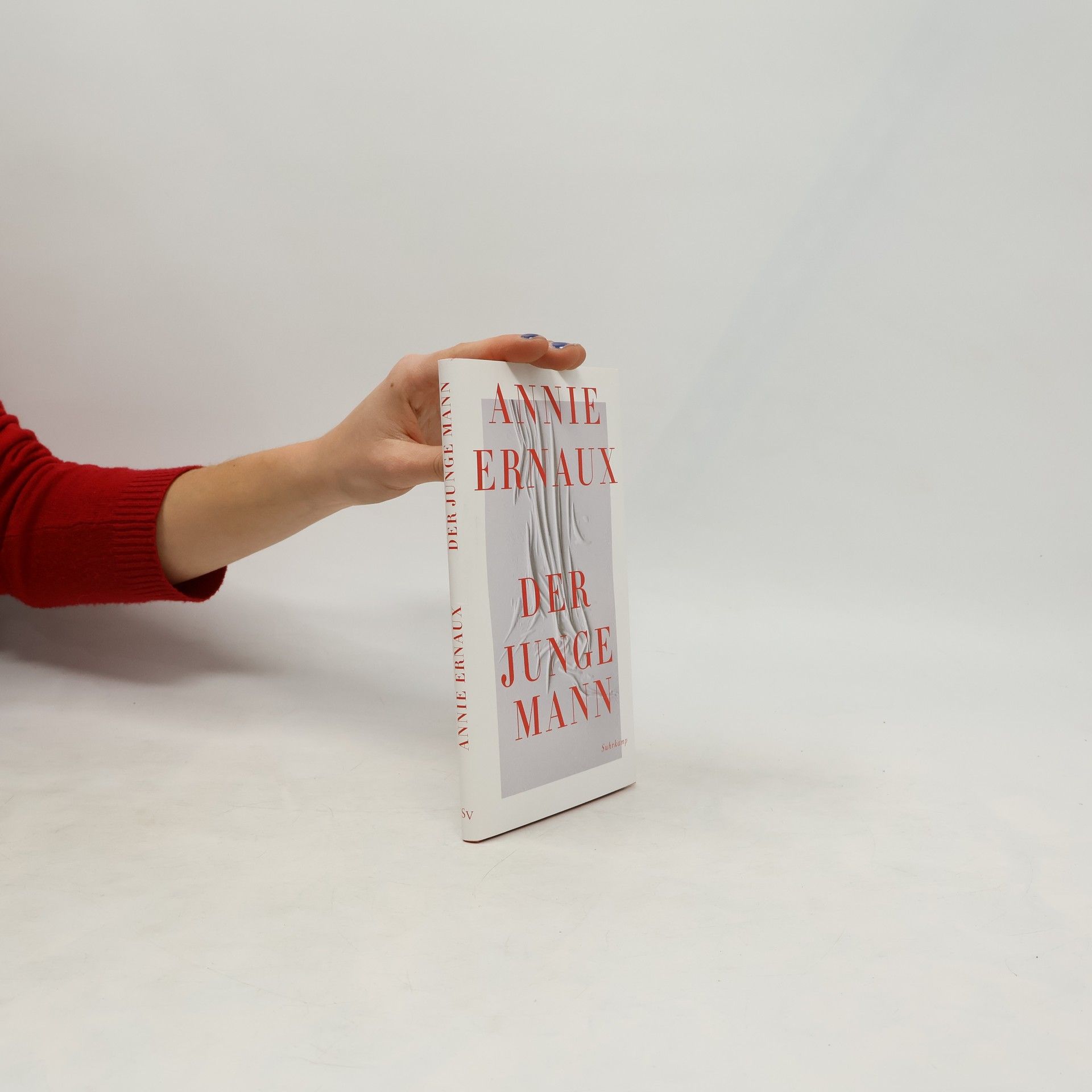 Annie Ernaux Der junge Mann