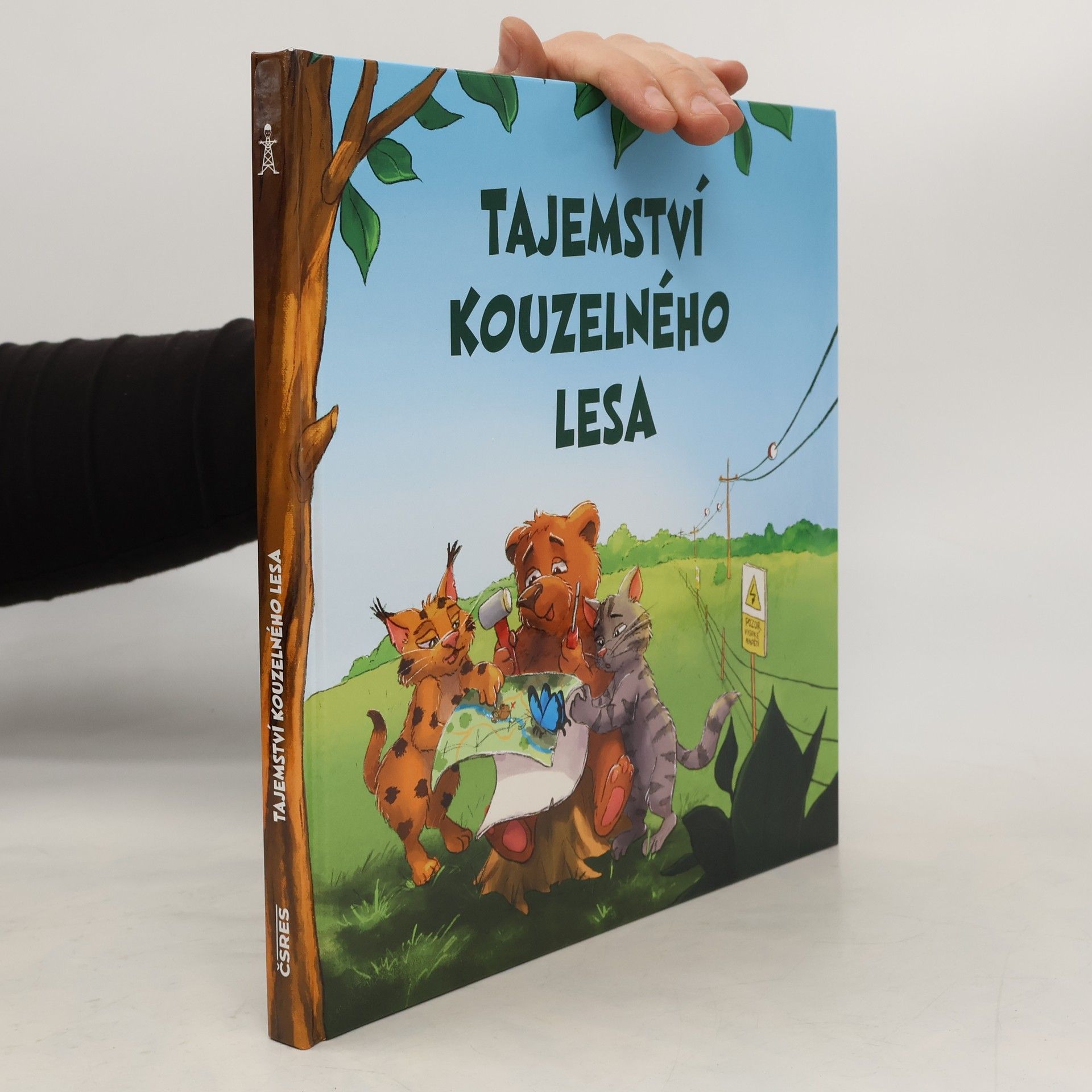 Petr Albert Tajemství kouzelného lesa