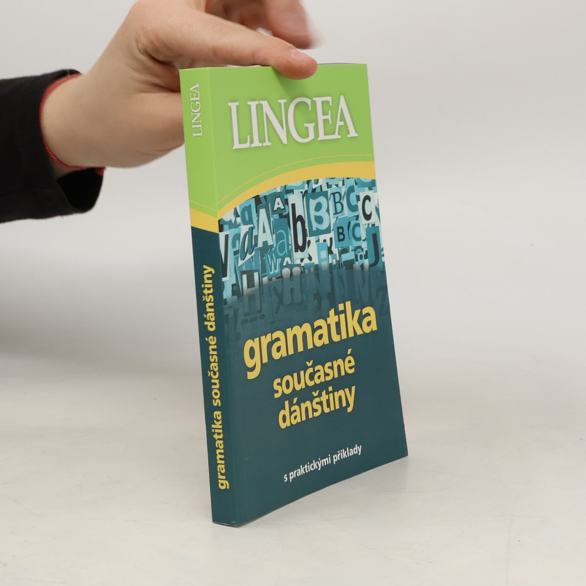 Kolektív autorov Gramatika současné dánštiny