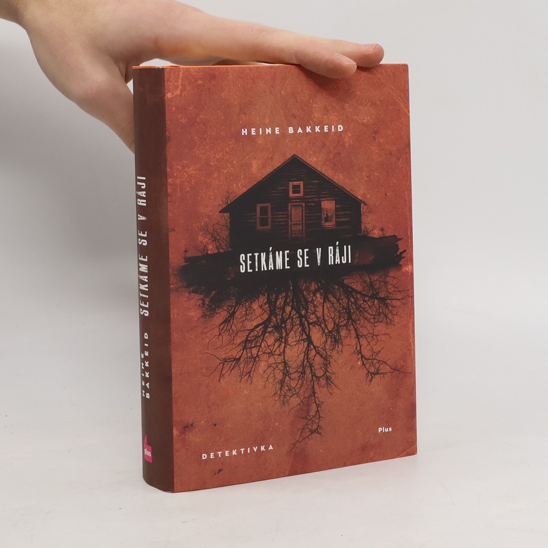 Heine Bakkeid Setkáme se v ráji