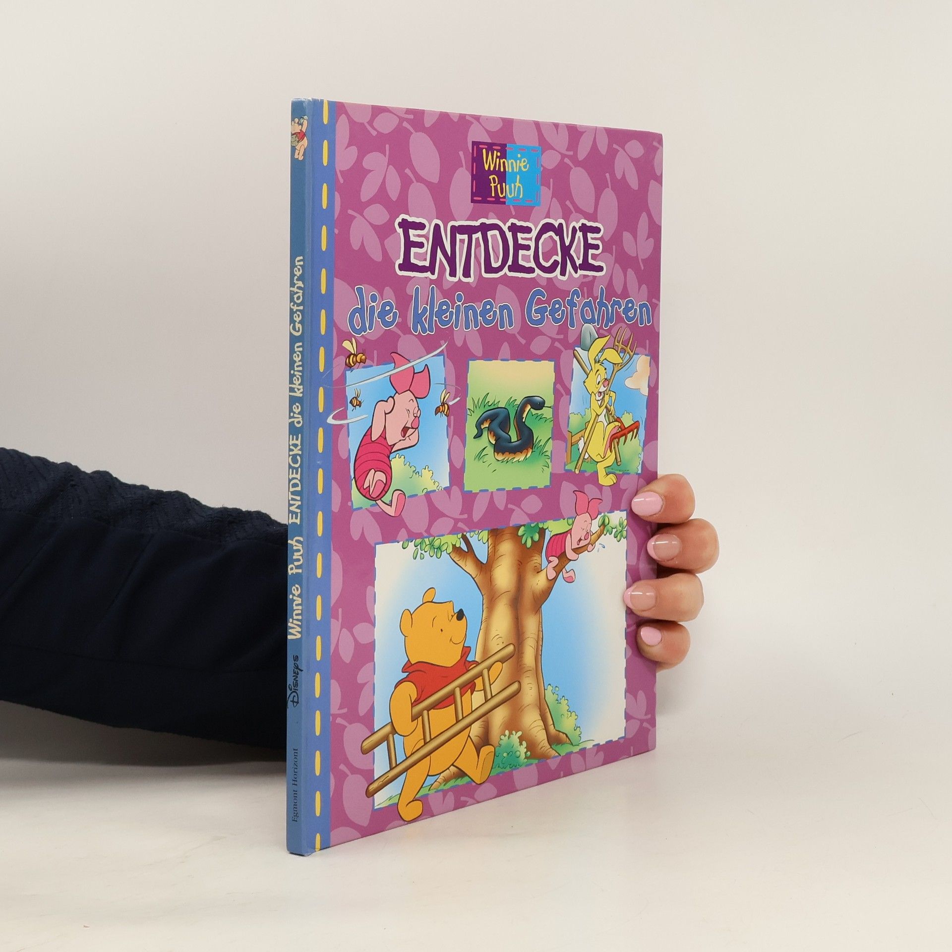 AA.VV. Winnie Puuh. Entdecke die kleinen Gefahren