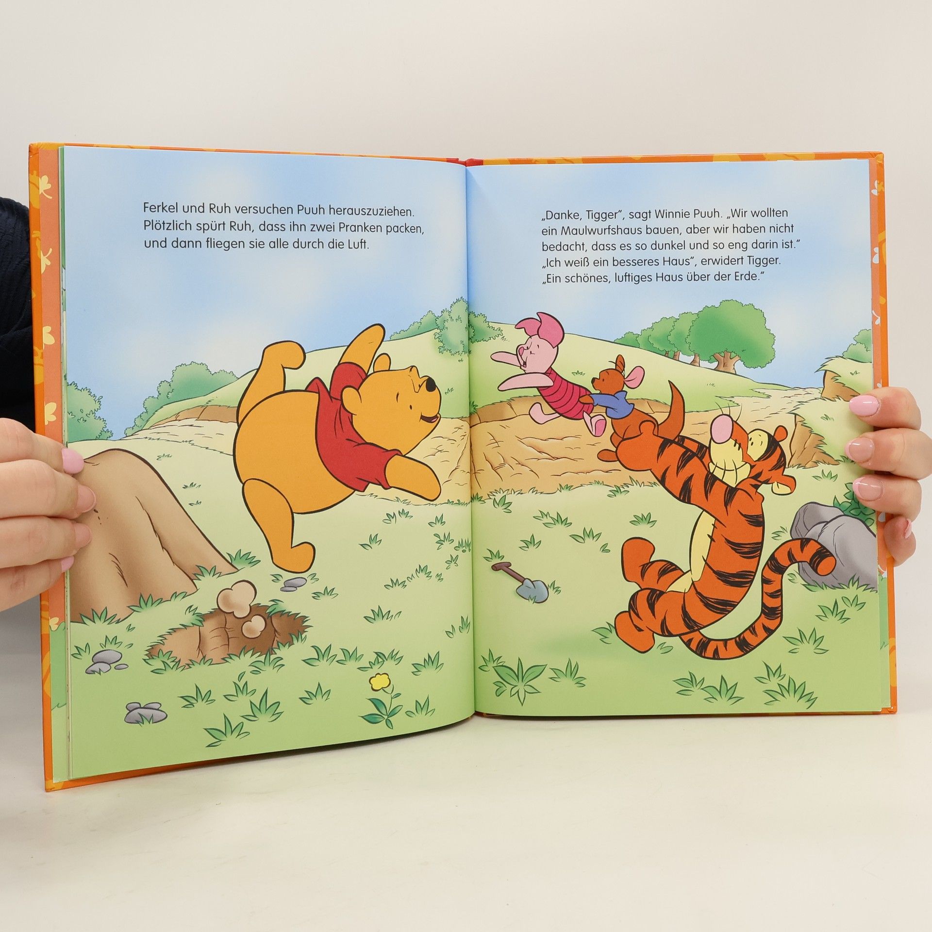 Autorenkollektiv Winnie Puuh baut ein Haus